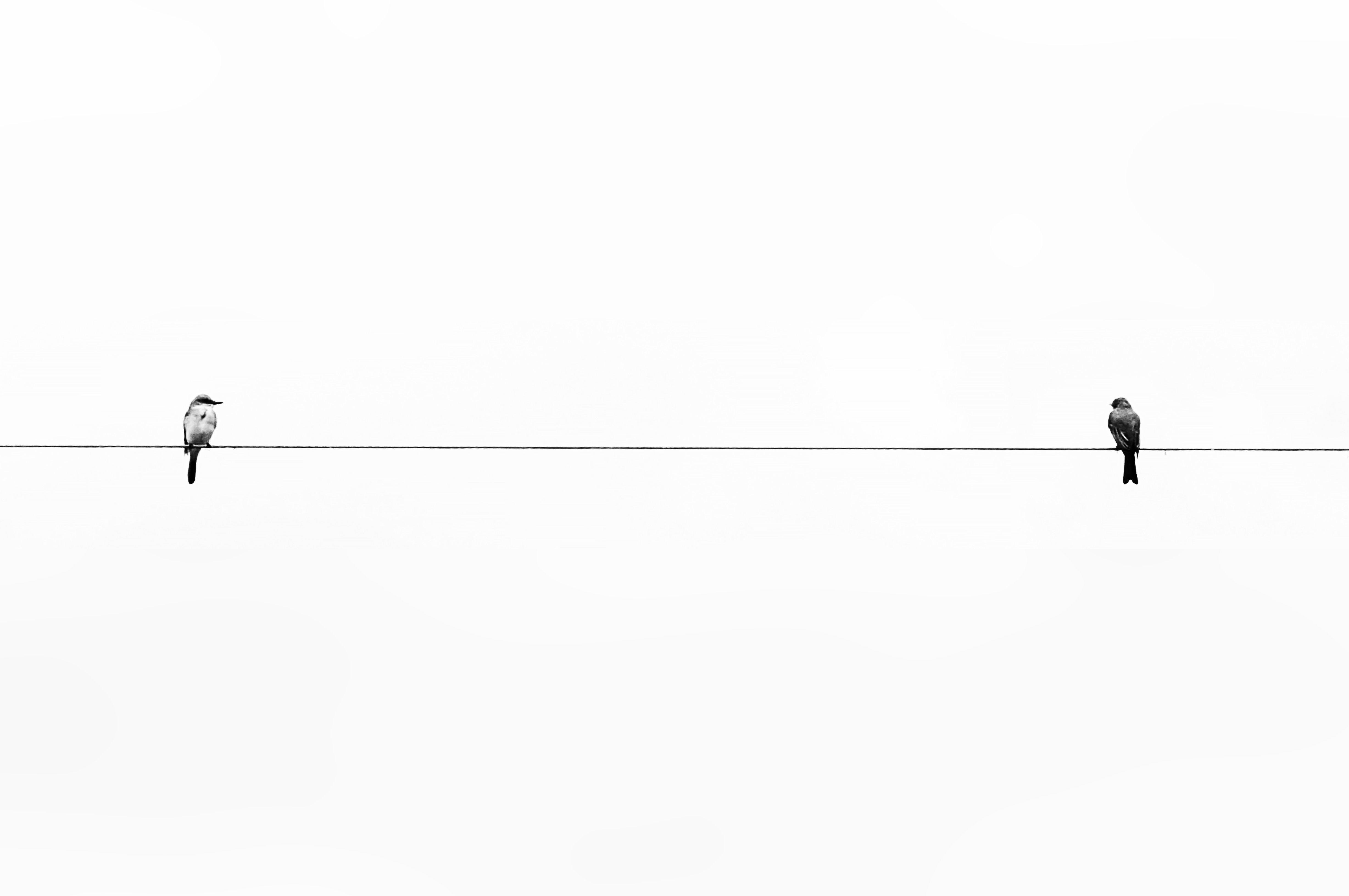 4912x3264 Minimalism 4K wallpaper for your desktop or mobile screen free