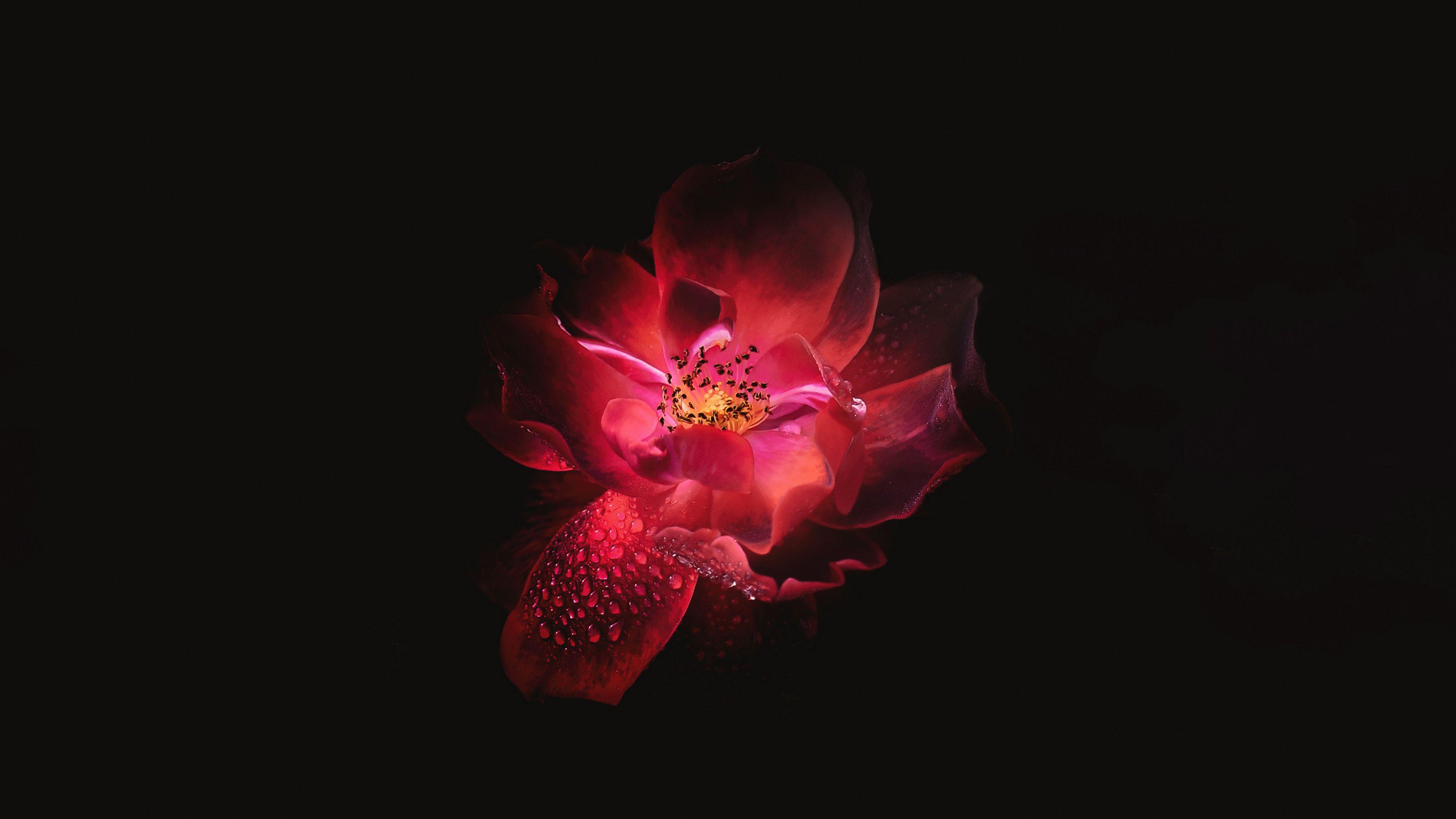 3537x1989 Black Laptop Wallpaper