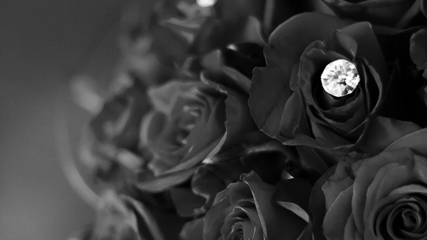 1366x768 Flower With Diamond Dark Bw Love Propose Wallpaper