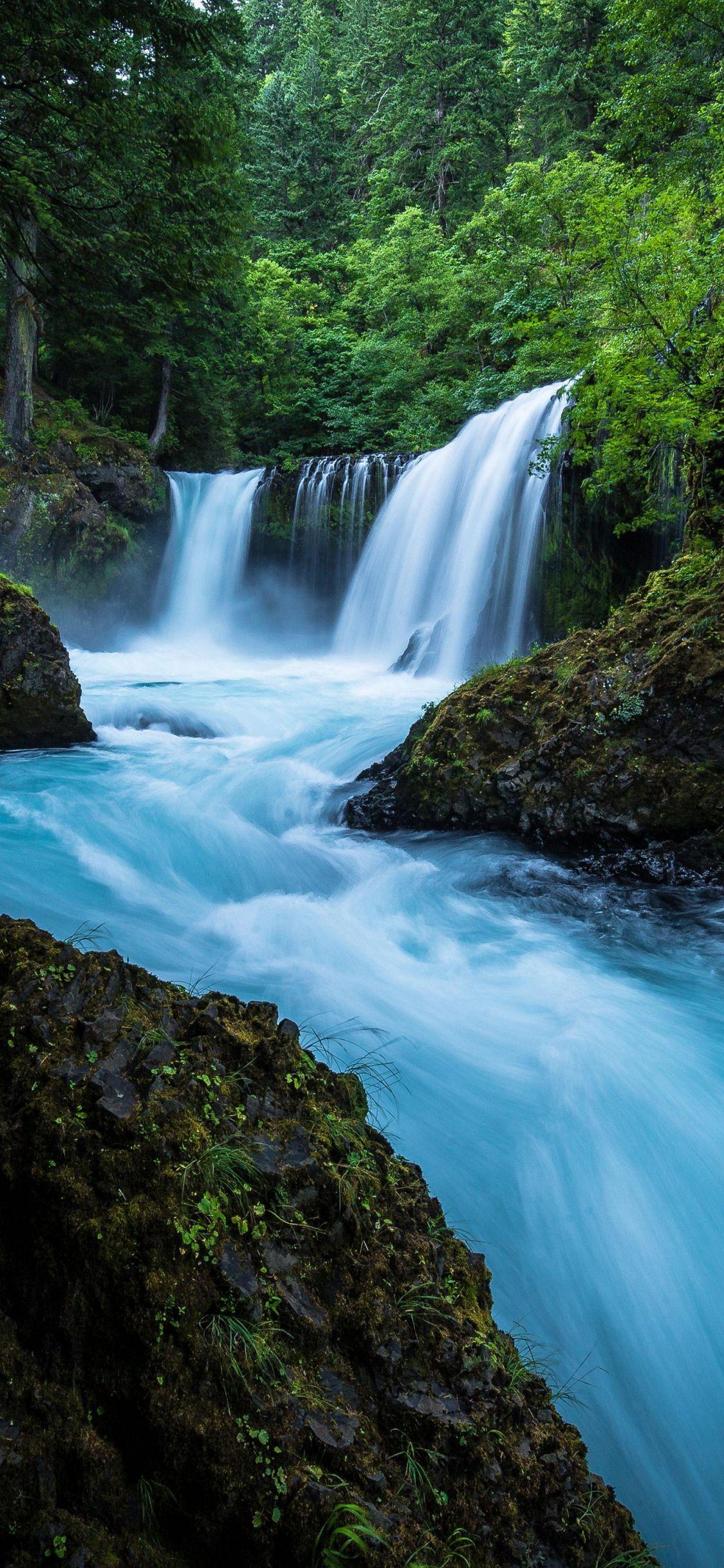 1125x2436 Download 1125x2436 wallpaper forest, waterfall, river, nature