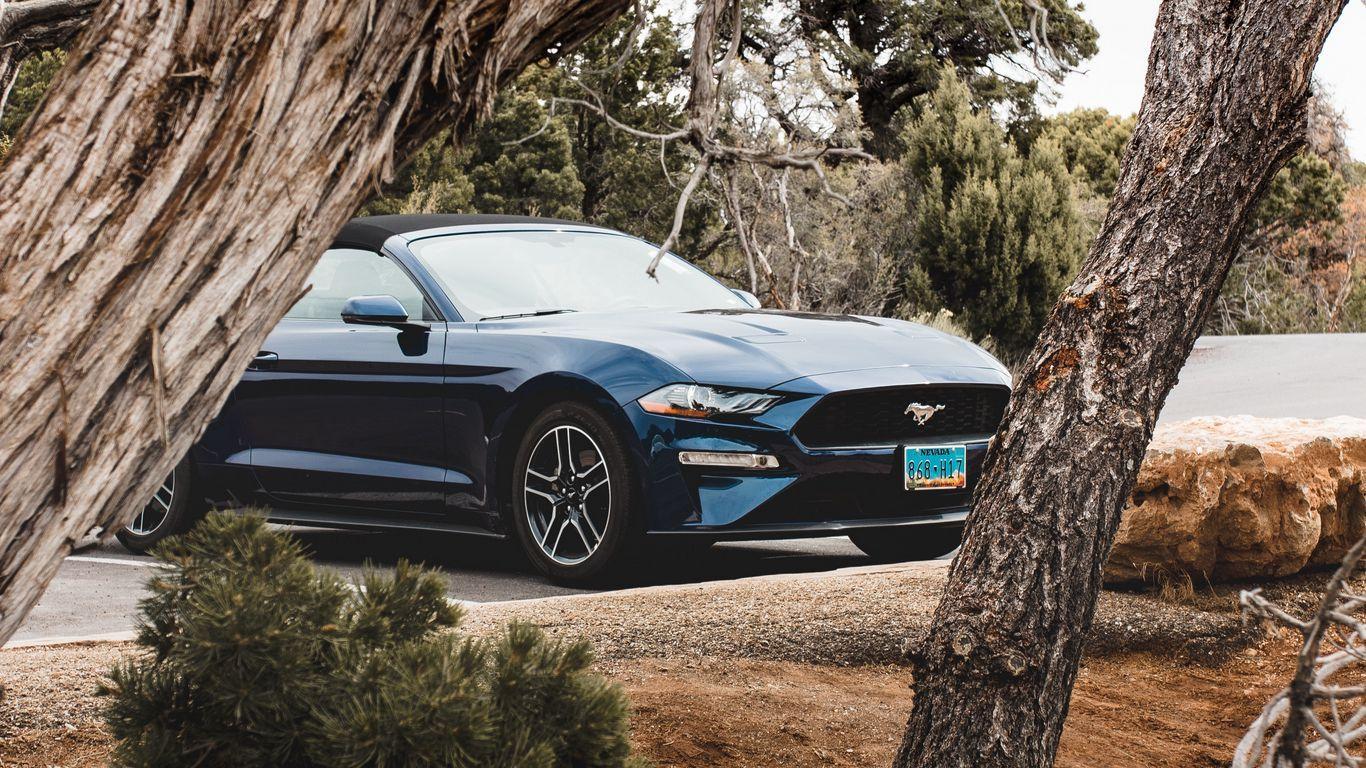 1366x768 Download wallpaper 1366x768 ford mustang, ford, car, convertible, blue, trees, branches tablet, laptop HD background