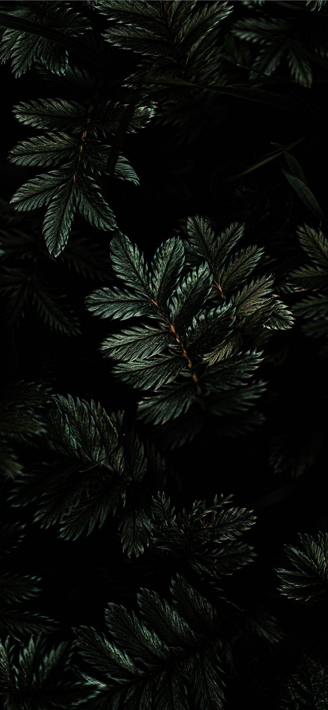 1125x2436 Best mood iPhone X Wallpaper HD