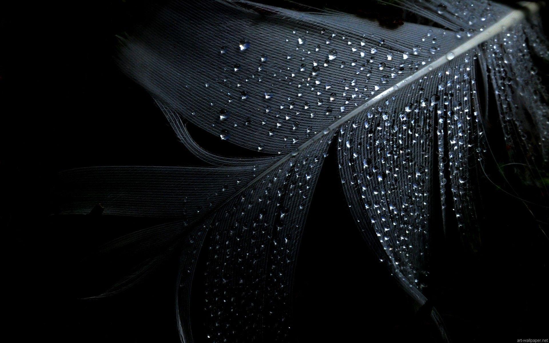 1920x1200 Wallpaper Collection : +37 Free HD 1080p desktop background
