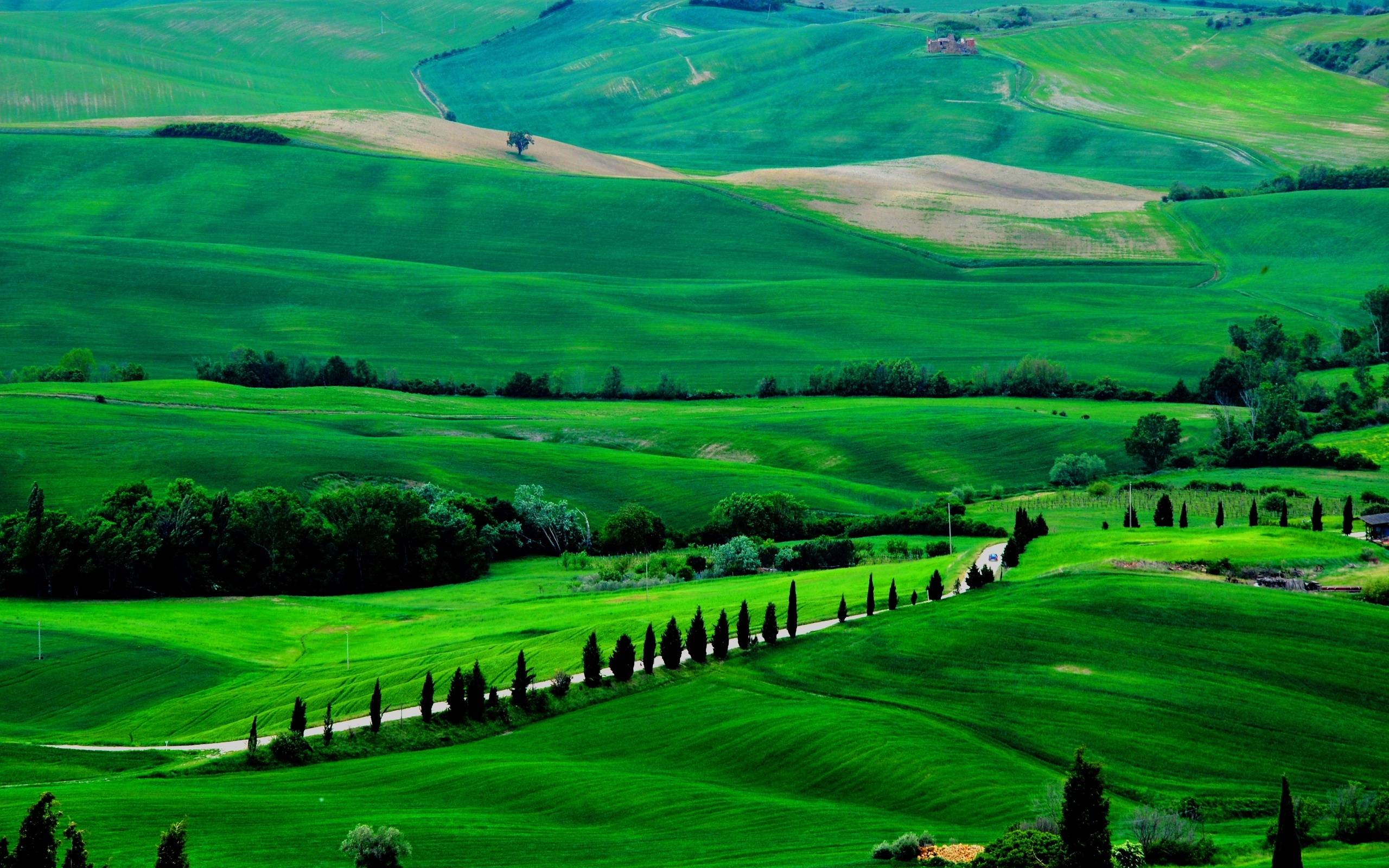2560x1600 Fields Trees Italy Road Tuscany Wallpaper Wallpaper