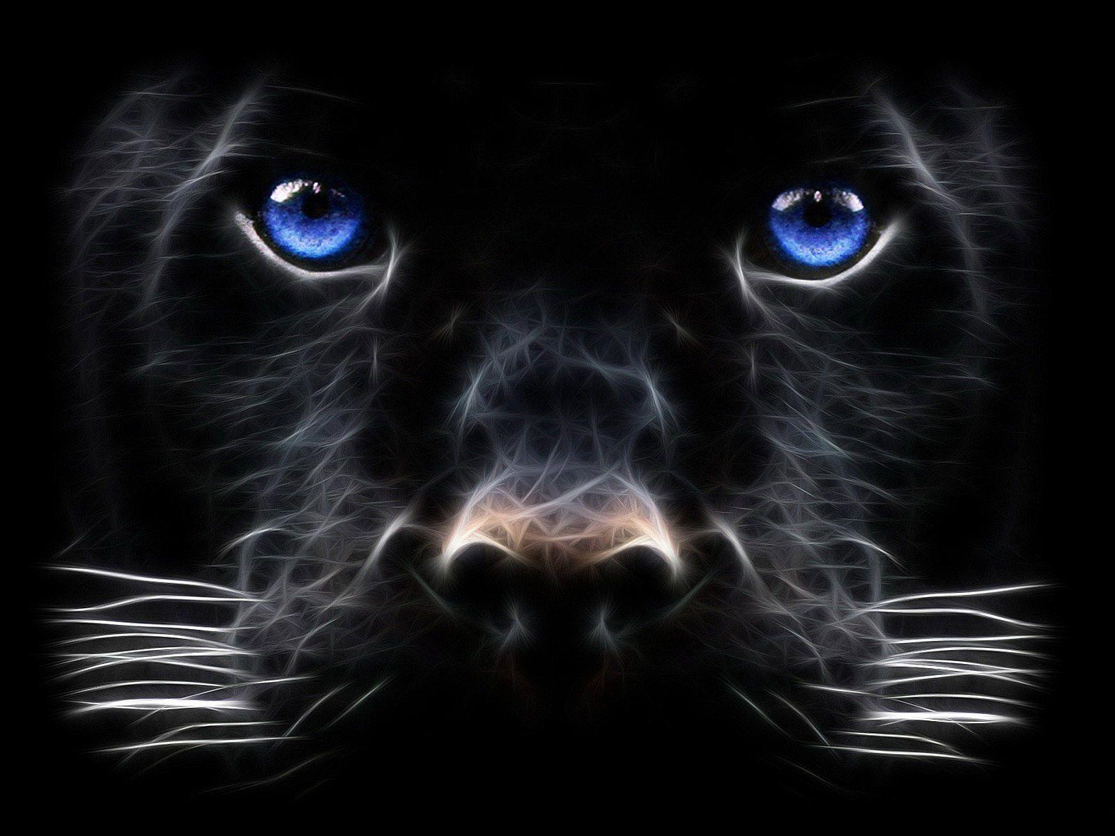 1600x1200 Black Panther Desktop Background