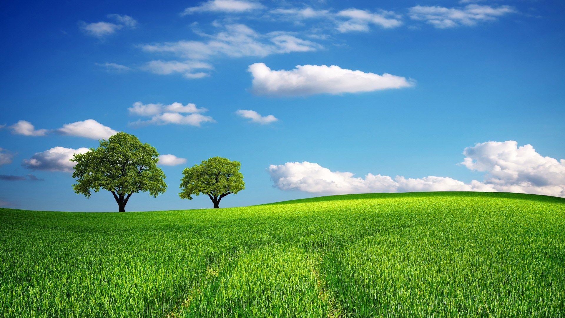 1920x1080 summer picture desktop. Cool picture of nature, Best nature image, Beautiful nature picture