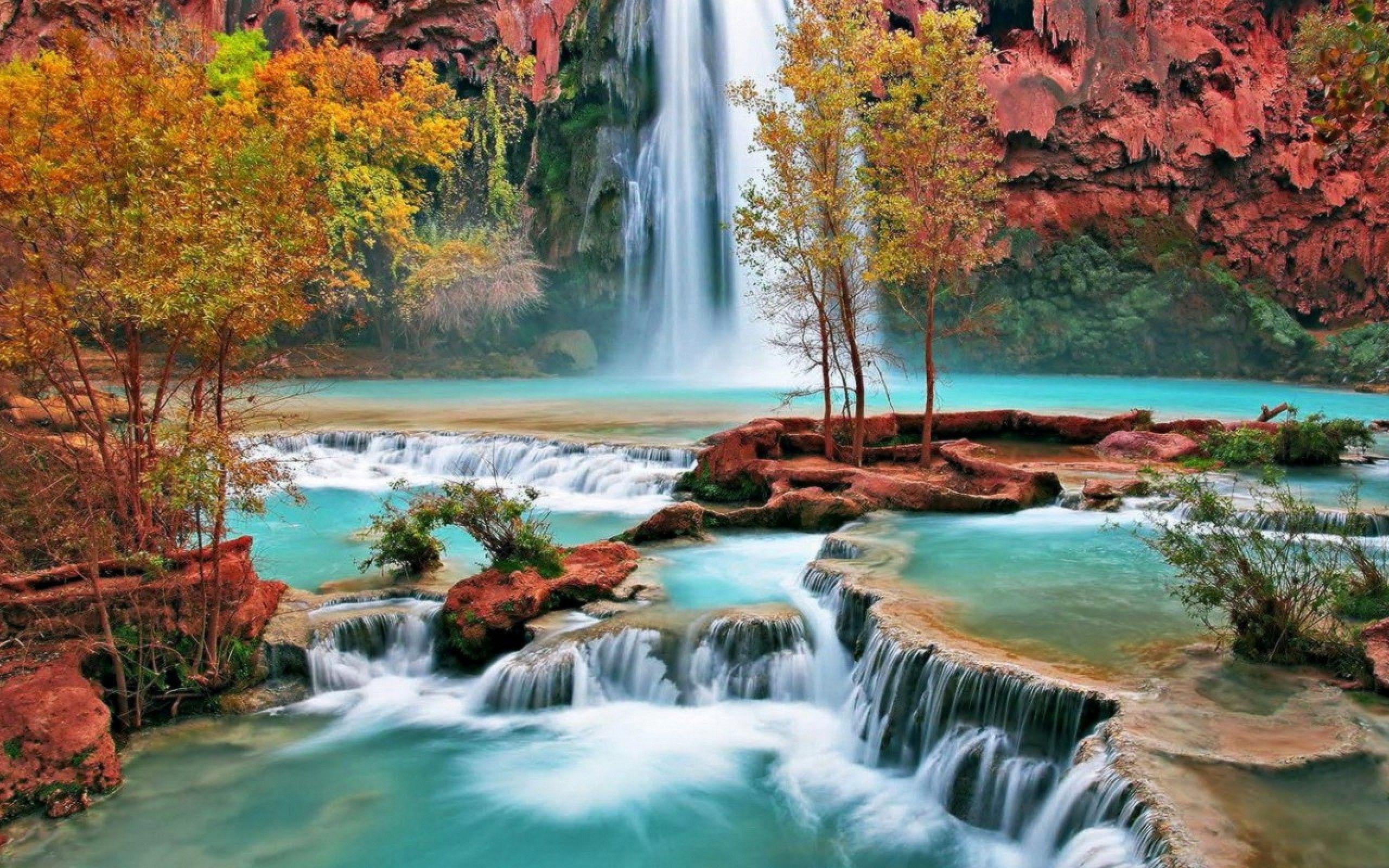 2560x1600 Best 5 Nature Scenery HD