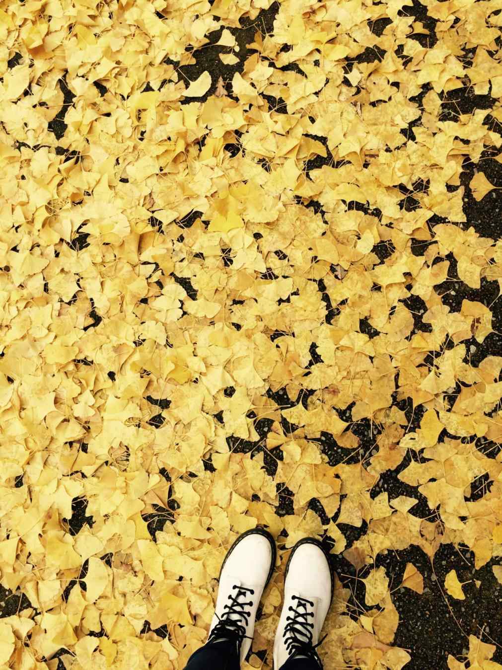 1011x1349 Pastel Yellow Aesthetic .itl.cat