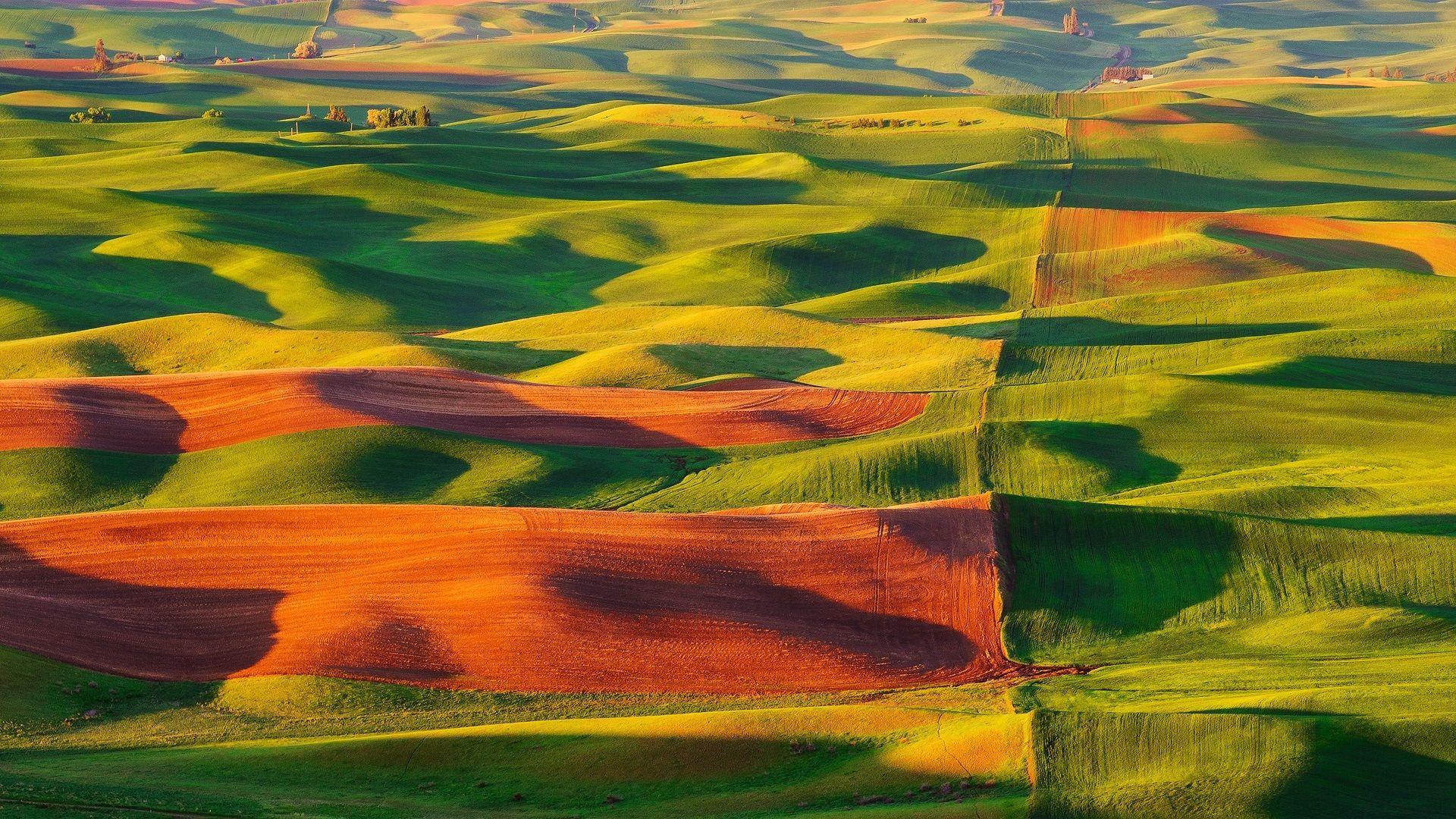 1920x1080 Wallpaper Steptoe Butte State Park, United States, valle, fields