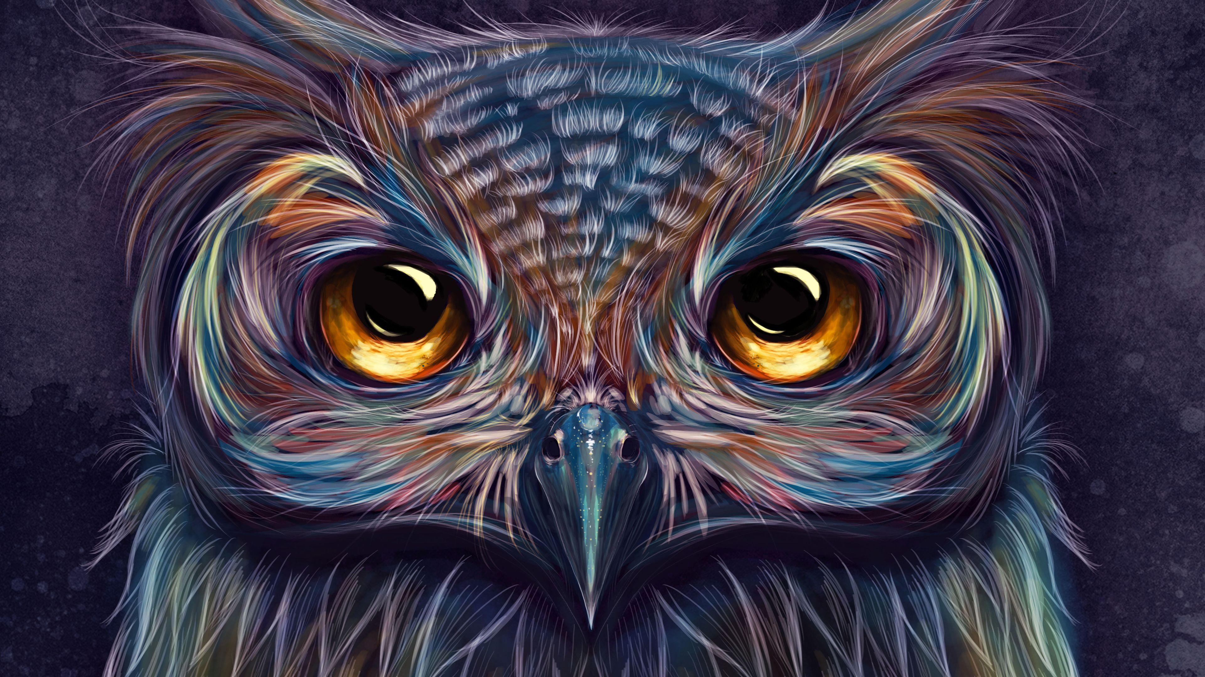 3840x2160 Wallpaper 4k Owl Colorful Art 4k 4k Wallpaper, Artist Wallpaper