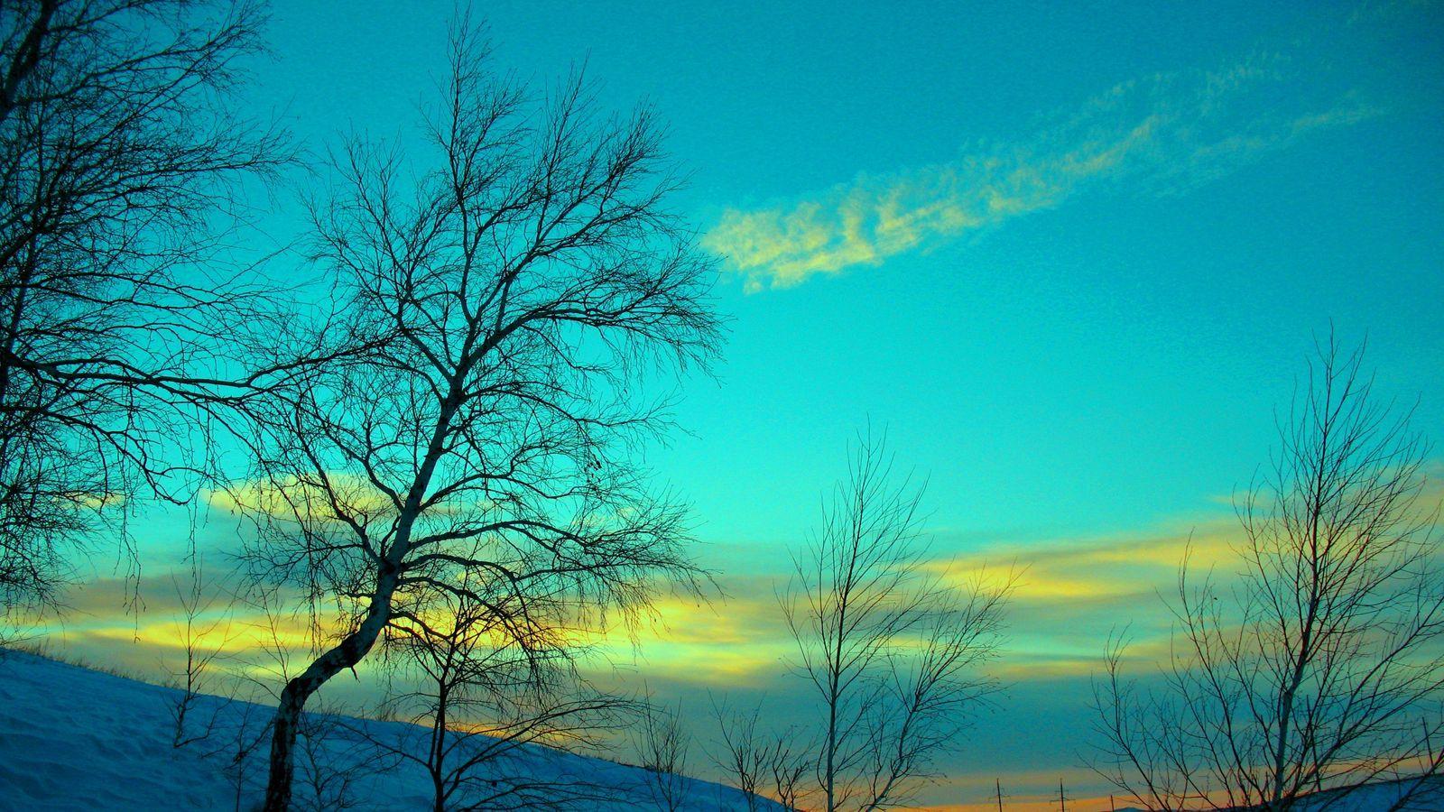 1600x900 Download wallpaper 1600x900 march, winter, snow, frost, nature