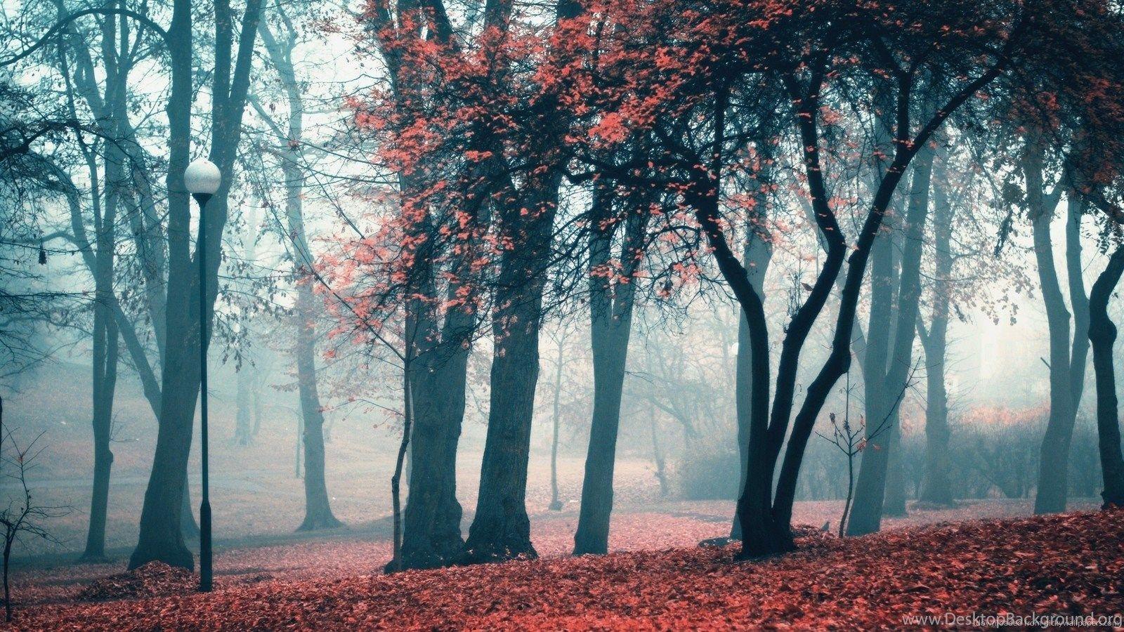 1600x900 Download 1600x900 Cold Weather In The Park Wallpaper Desktop