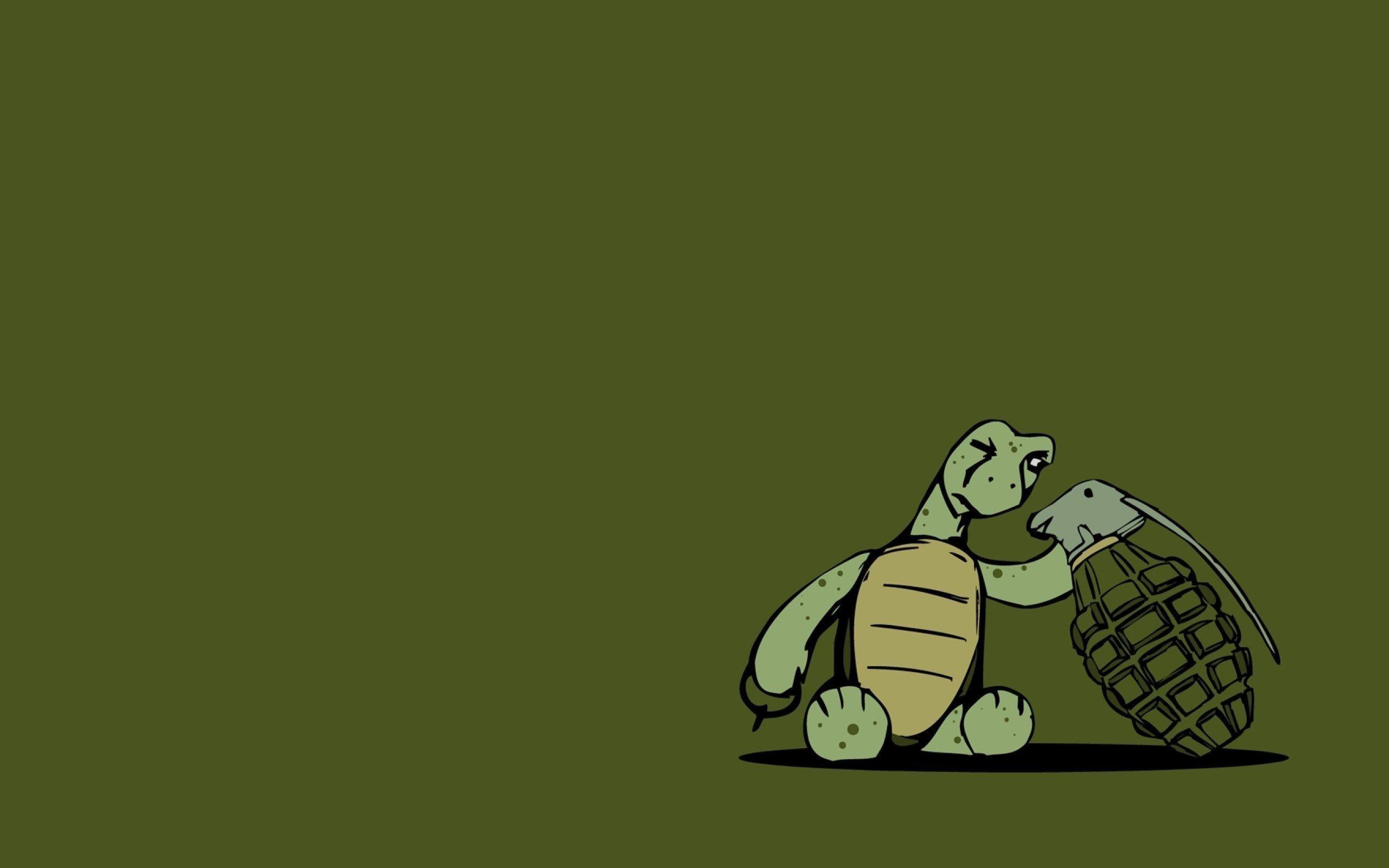 2560x1600 Turtle Grenade Art Funny