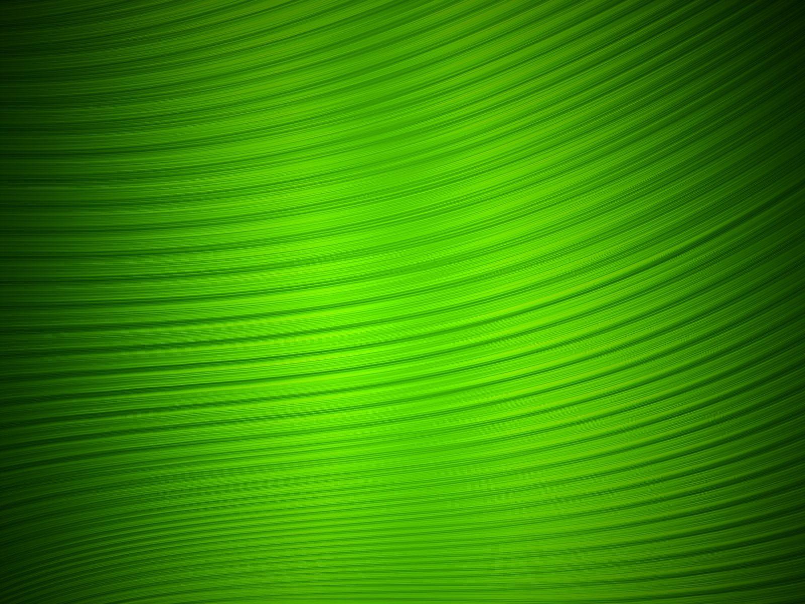 Color Green Wallpapers - Top Free Color Green Backgrounds - WallpaperAccess