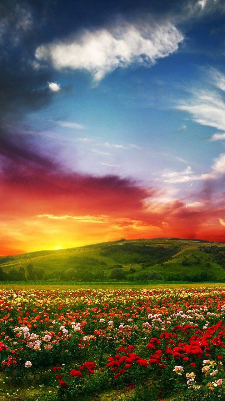 720x1280 Wallpaper India, 5k, 4k wallpaper, Valley of Flowers, Meadows