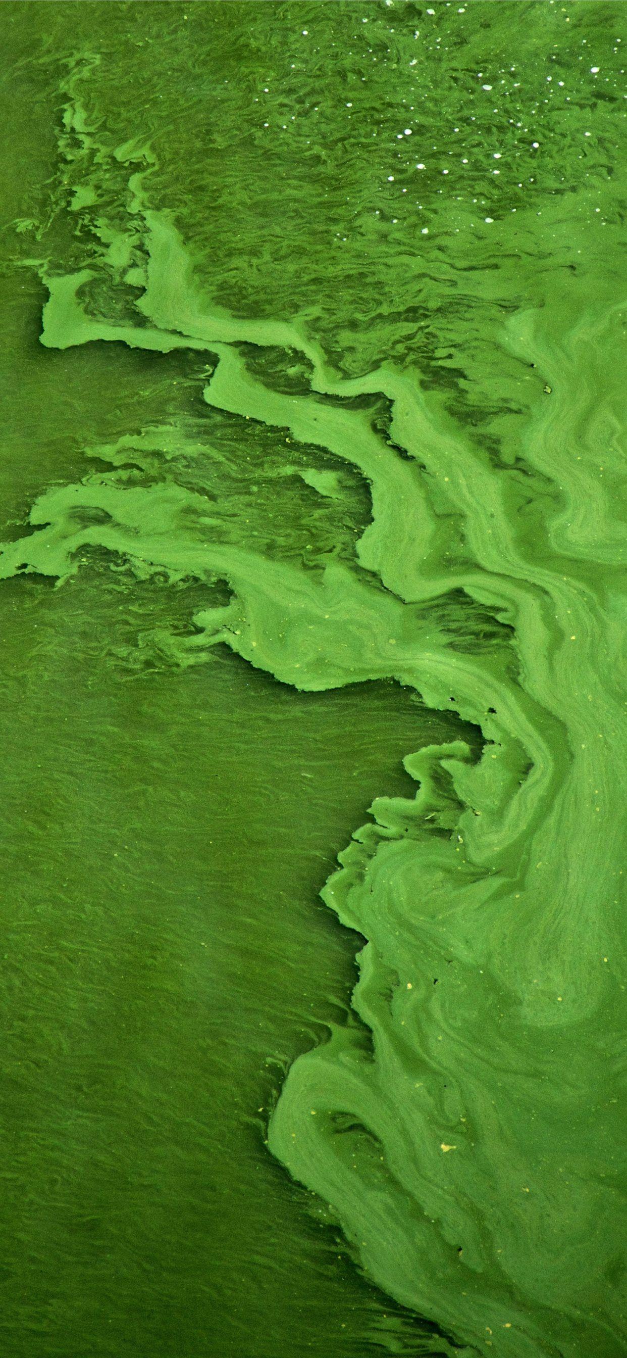 1242x2688 green color water iPhone X Wallpaper Free Download