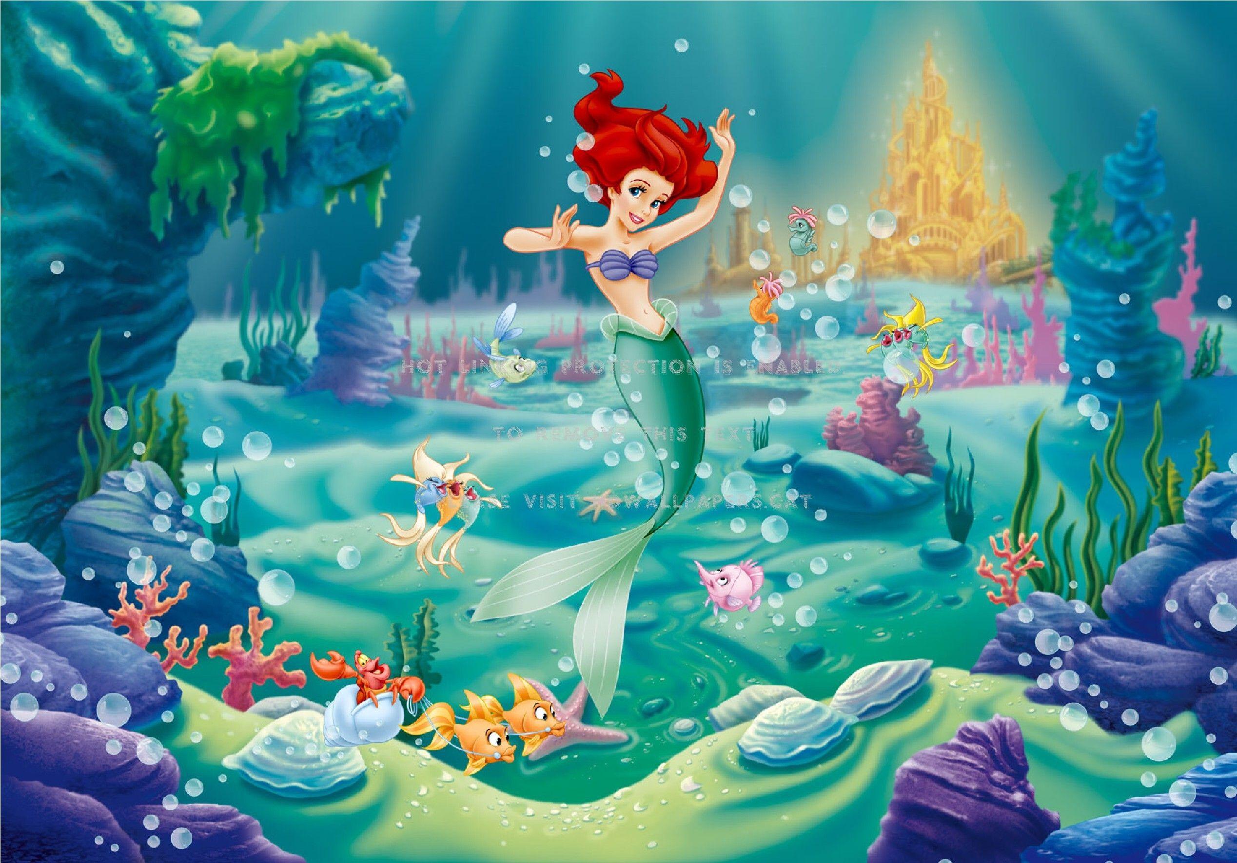 2537x1771 the little mermaid disney ariel cartoon