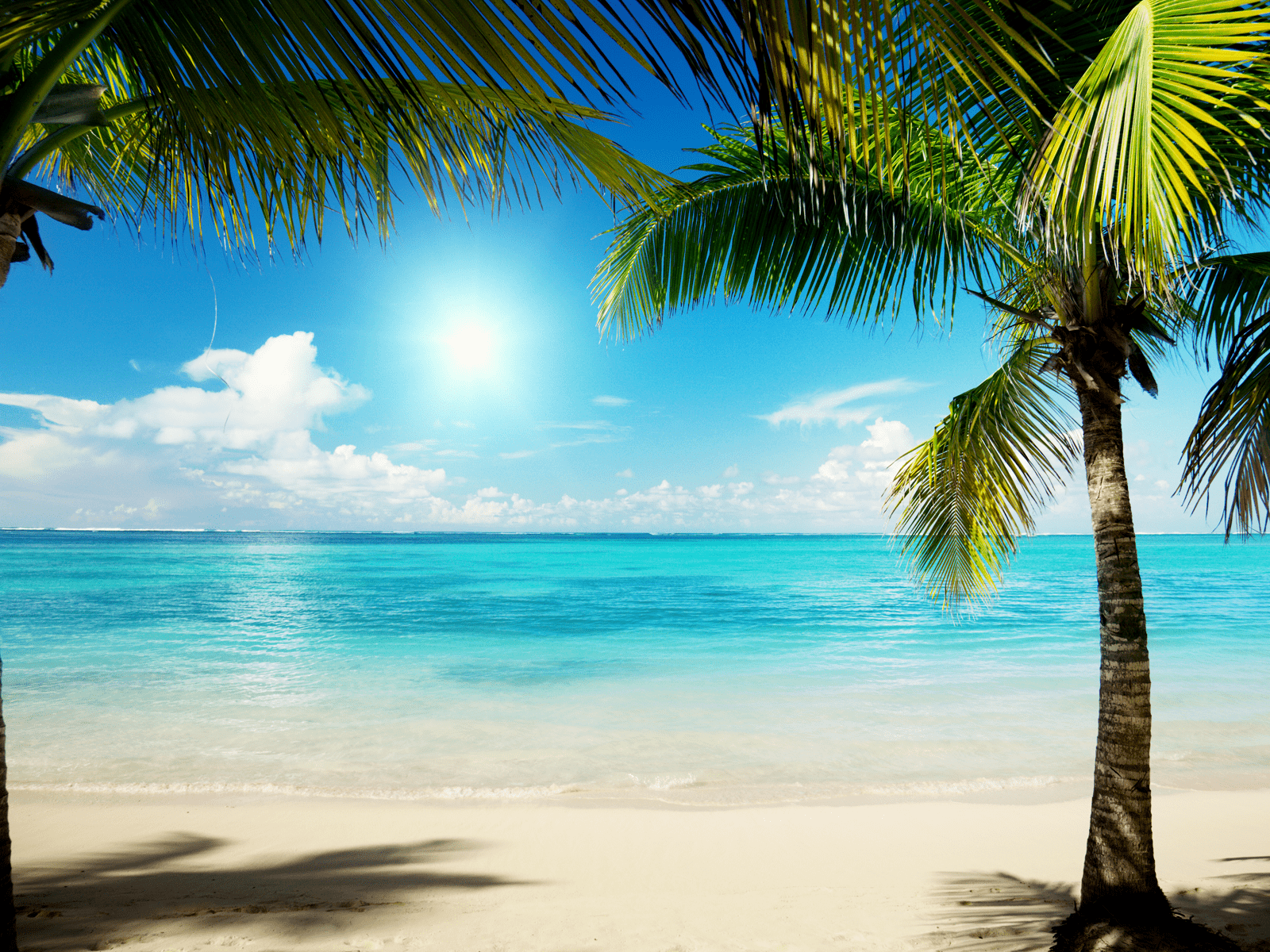 1600x1200 Free download Caribbean Summer Beach Background Wallpaper HD