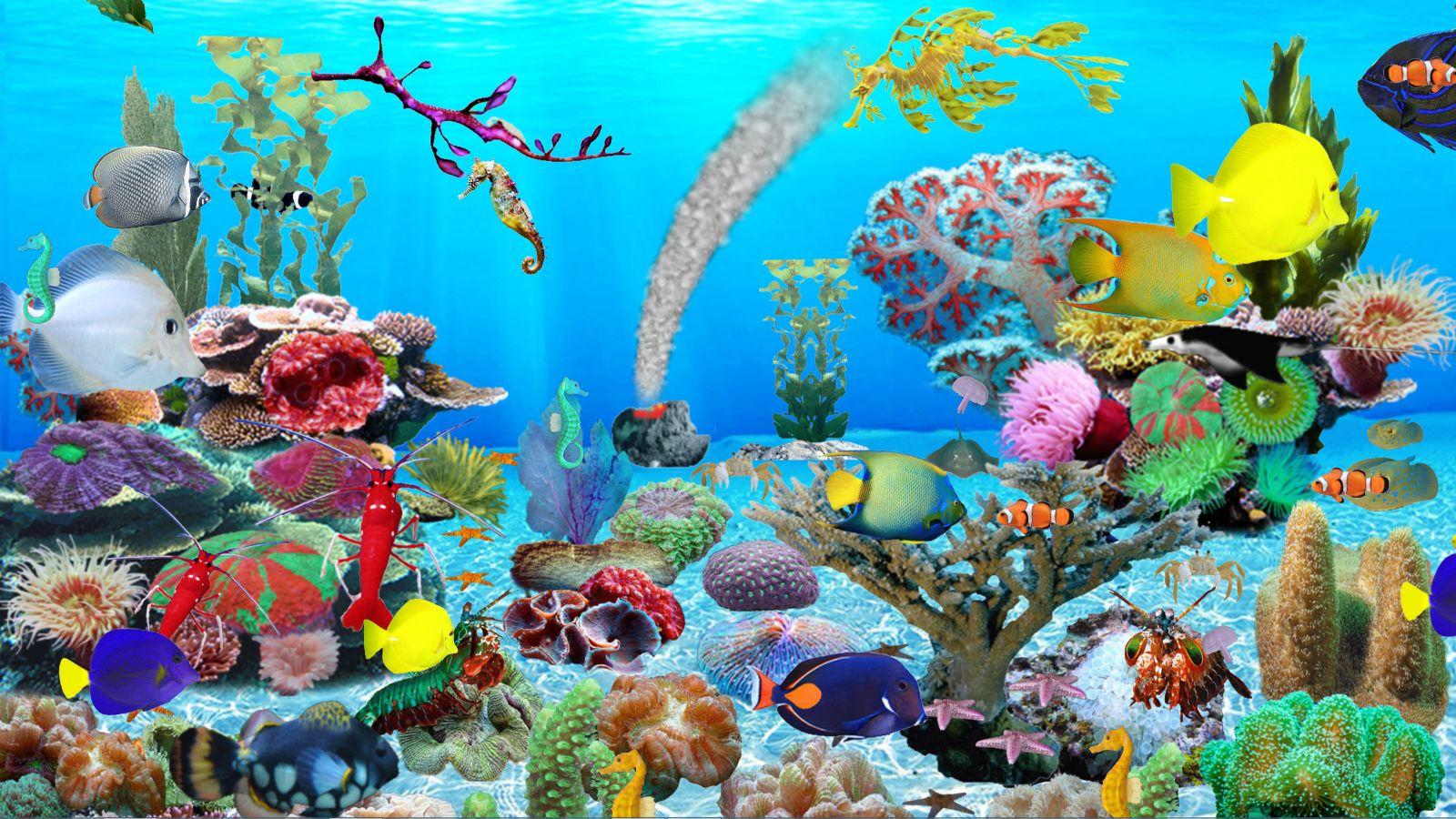 1600X900 Aquarium Wallpapers - Top Free 1600X900 Aquarium Backgrounds ...