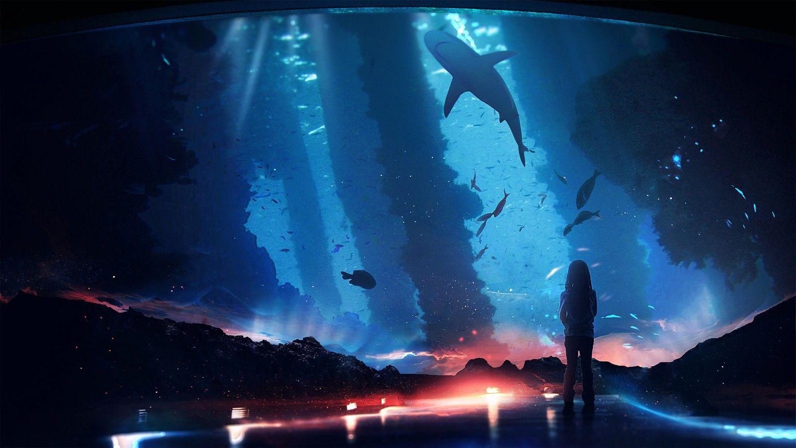 1600x900 wallpaper silhouette, aquarium, fish, dark, backlight HD