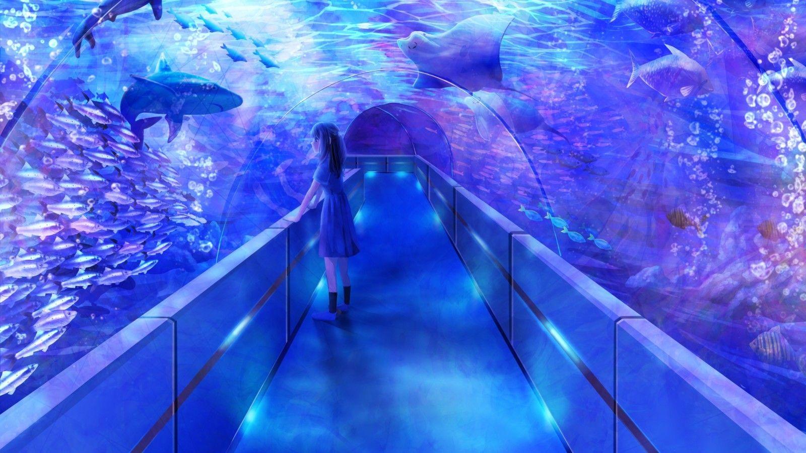 1600x900 Download 1600x900 Anime Girl, Aquarium, Fish Wallpaper