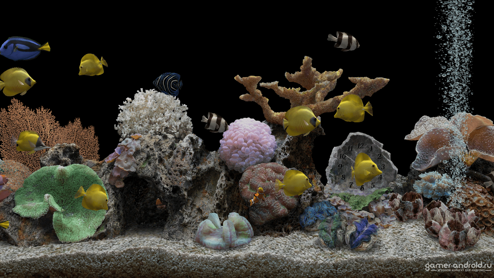 1600x900 Free download Marine Aquarium 32 PRO [1600x900] for your Desktop