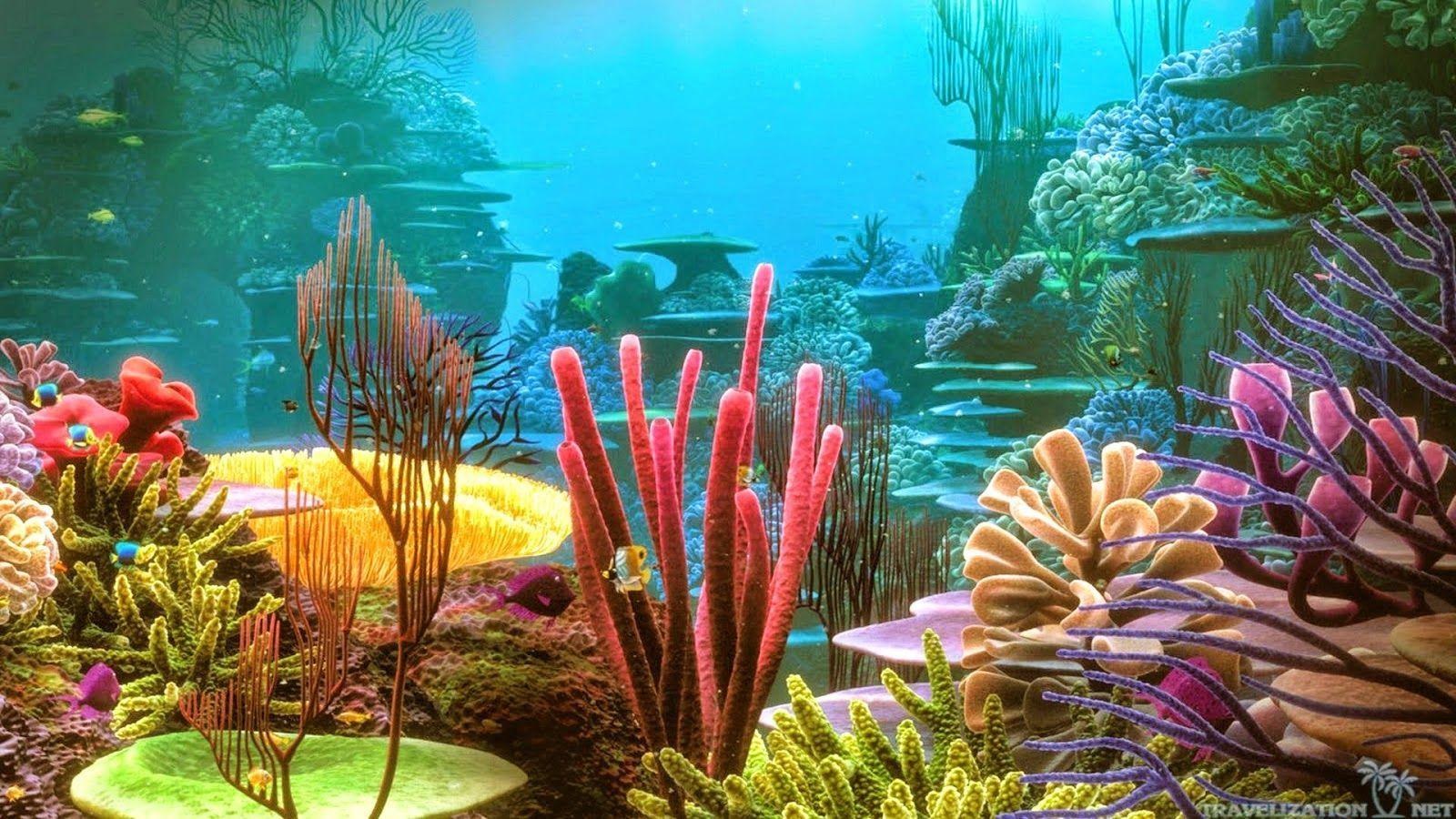 1600x900 Coral Reef Fish Wallpaper. Earth Blog. Underwater
