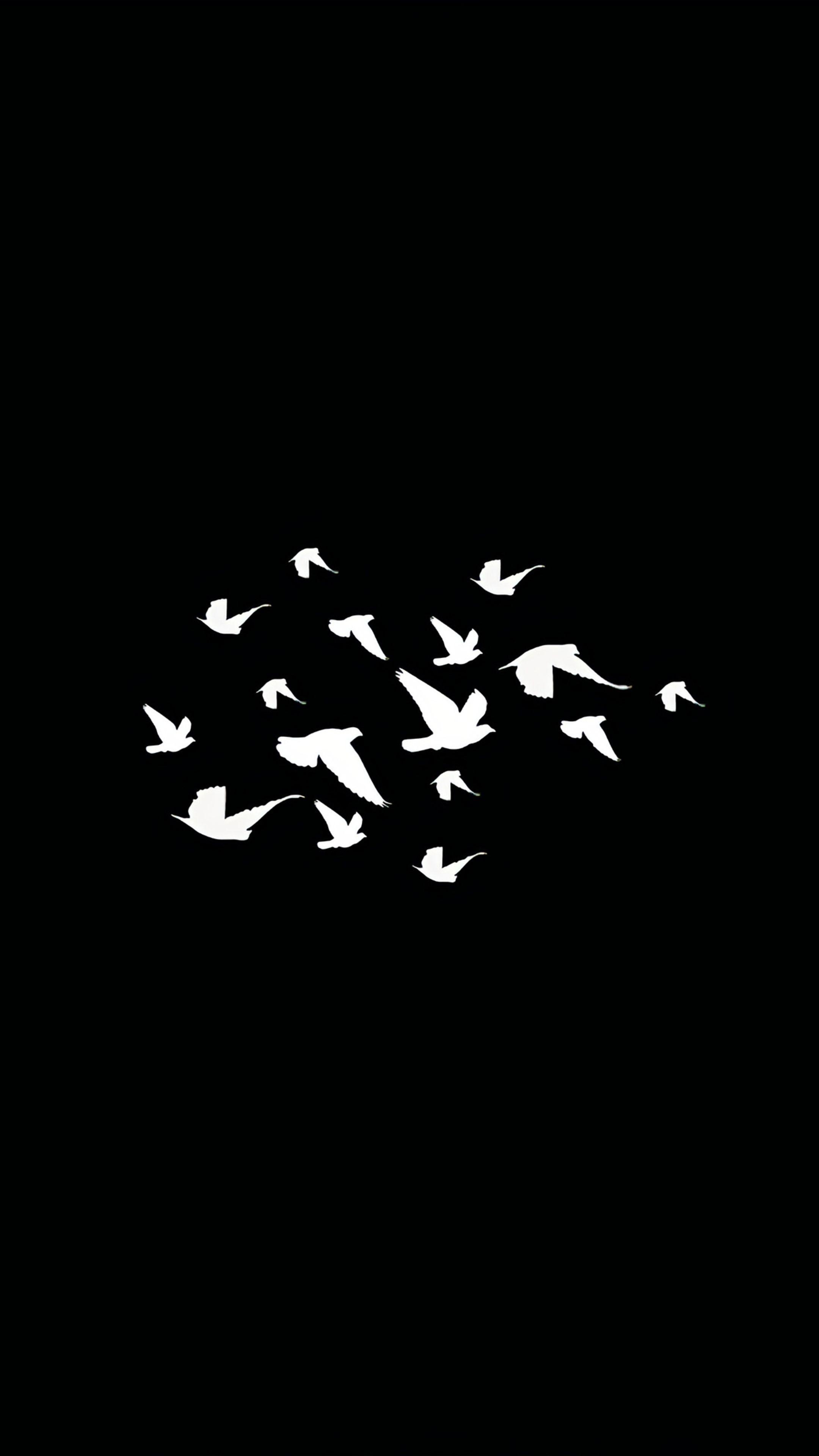 2160x3840 Birds Flying Minimalist Dark 4k Sony Xperia X, XZ, Z5