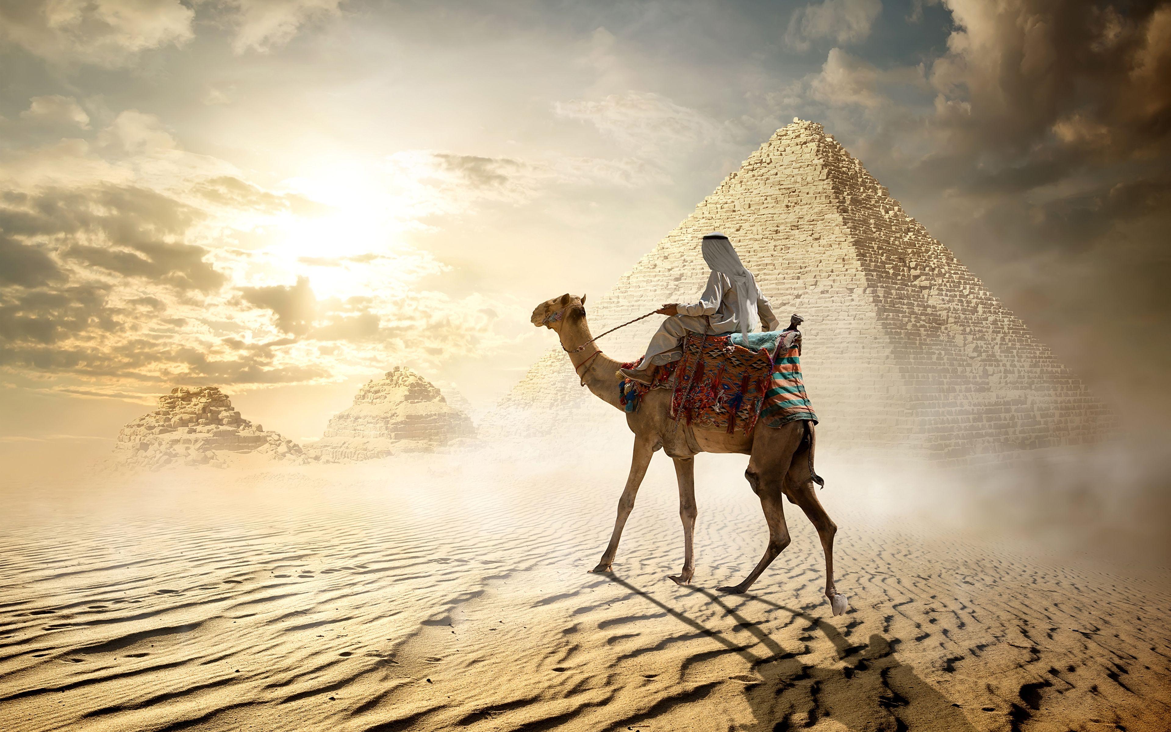 Едет караван. Бедуины в Египте. Бедуины Саудовской Аравии. Египет пирамиды бедуины. Бедуин с верблюдом в пустыне.