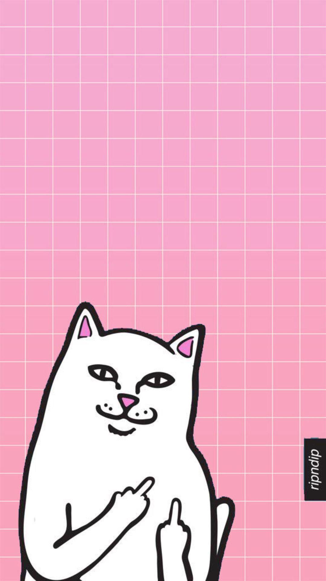 Ripndip Wallpapers Top Free Ripndip Backgrounds Wallpaperaccess