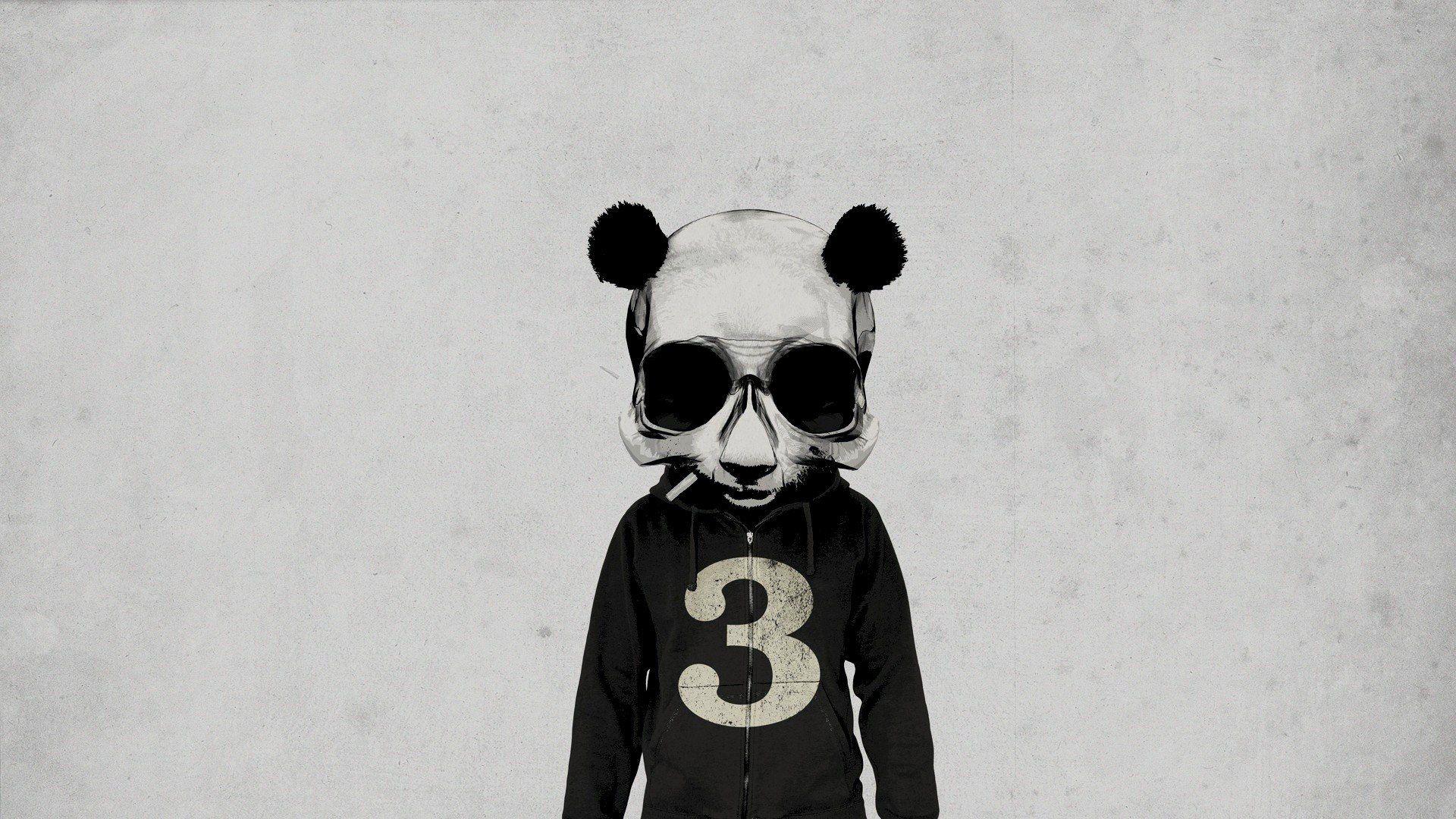 1920x1080 skull, Hipster Photography, Minimalism Wallpaper HD / Desktop