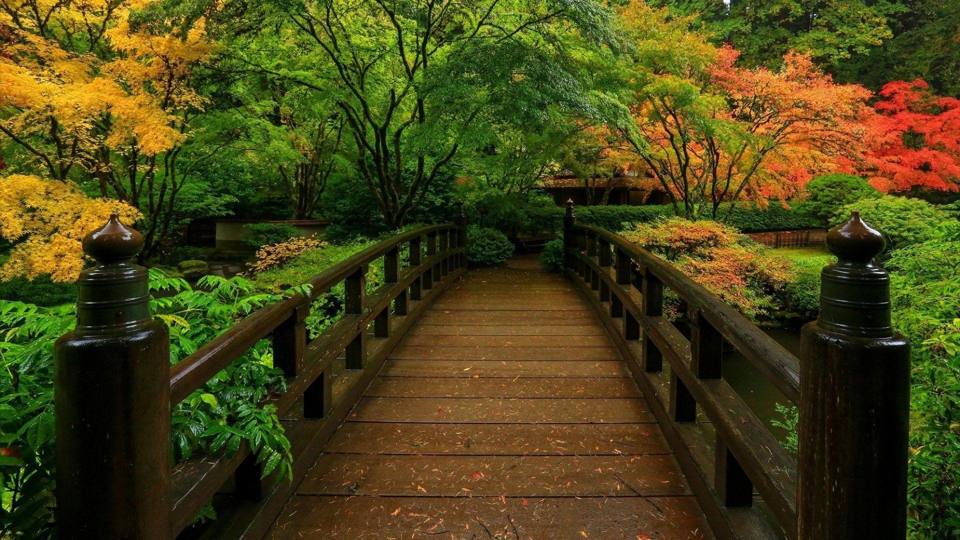 1920x1080 Bridge in Japanese Garden HD Wallpaper. Background Image