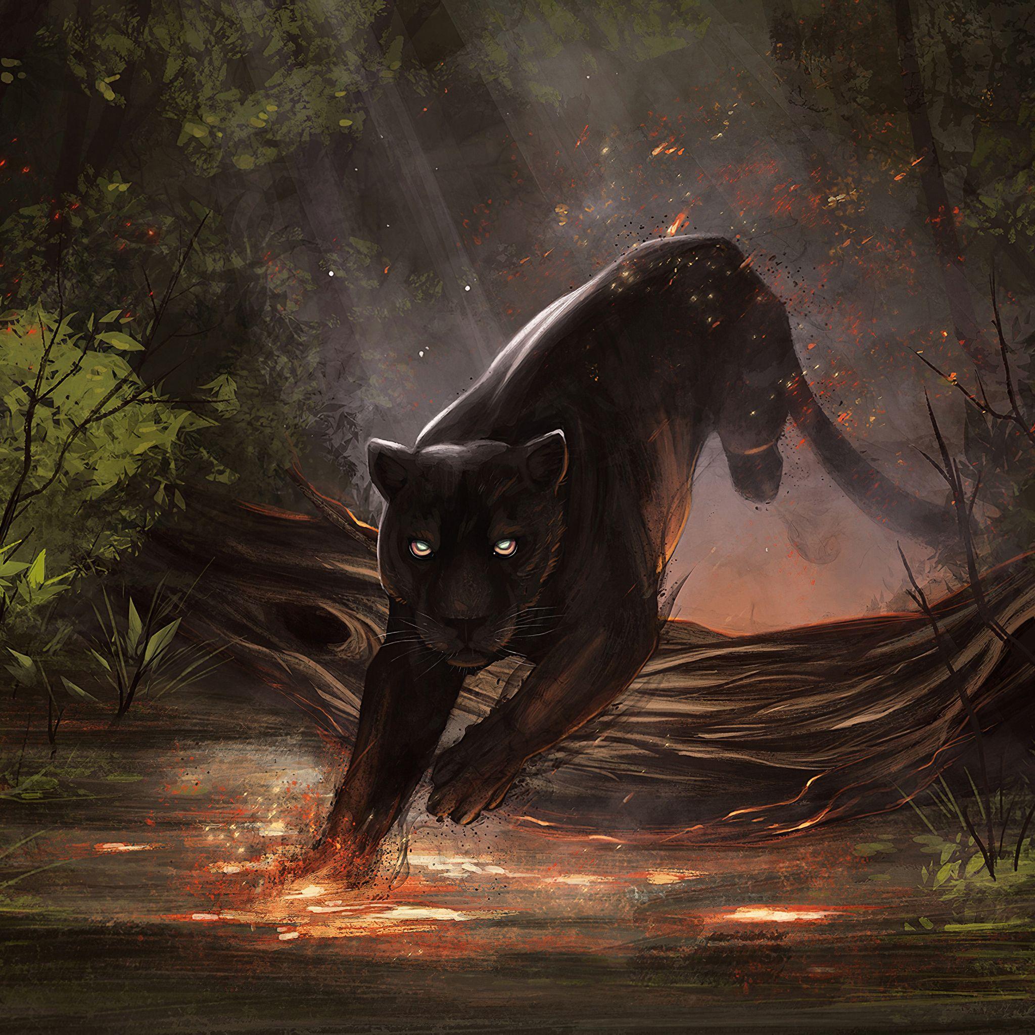 2048x2048 Jaguar Black Cat iPad Air HD 4k Wallpaper, Image