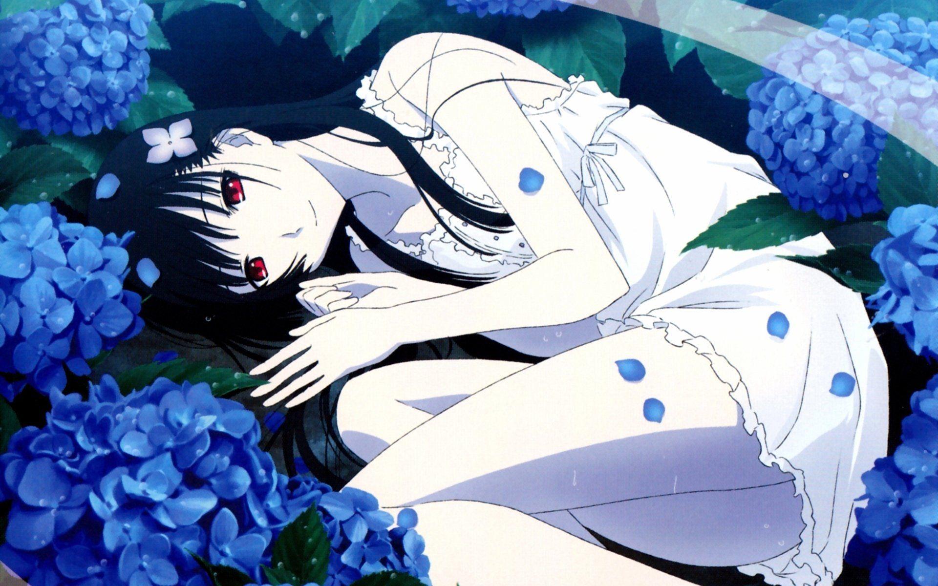 1920x1200 Sankarea HD Wallpaper and Background Image