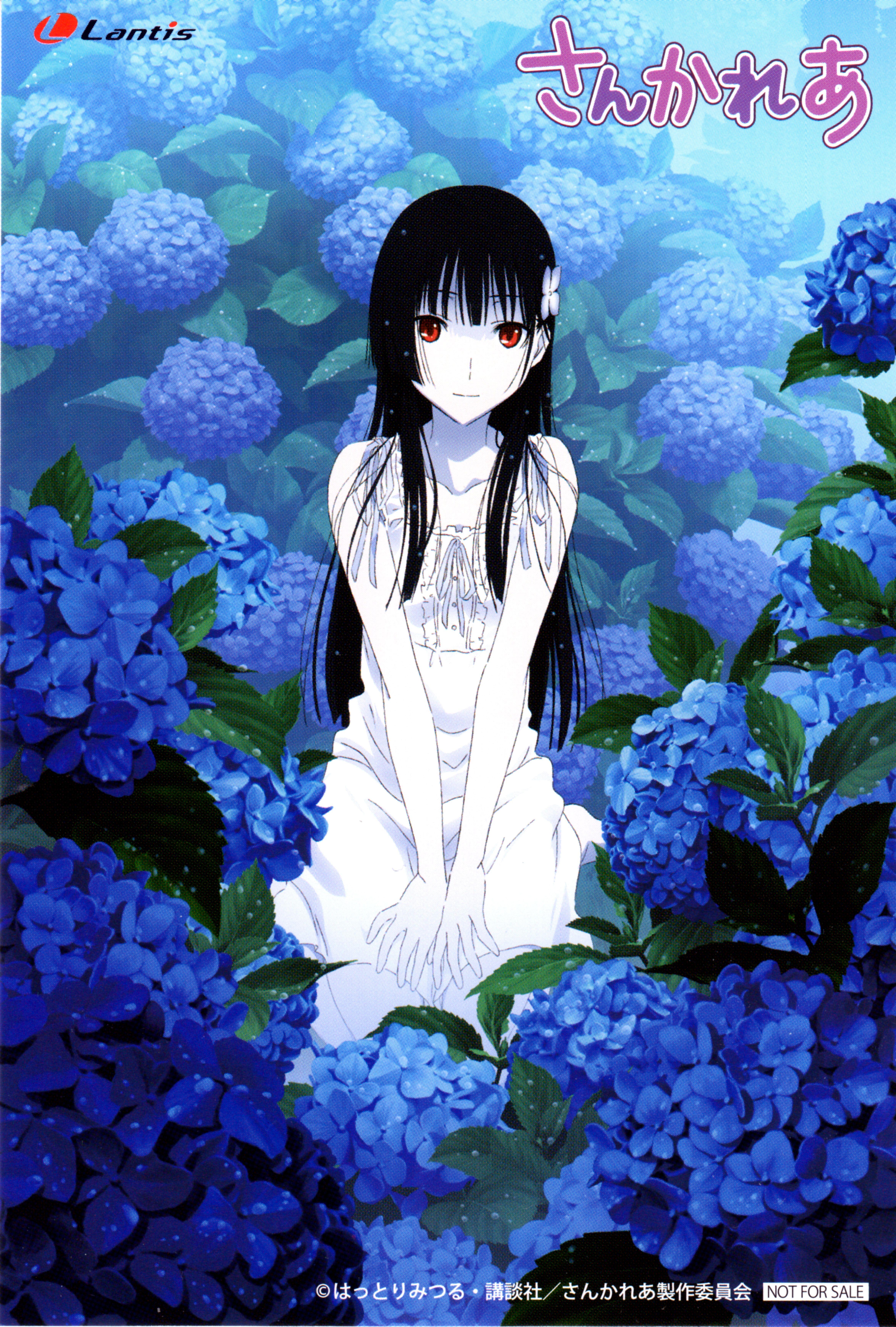 4694x6952 Sankarea Anime Image Board