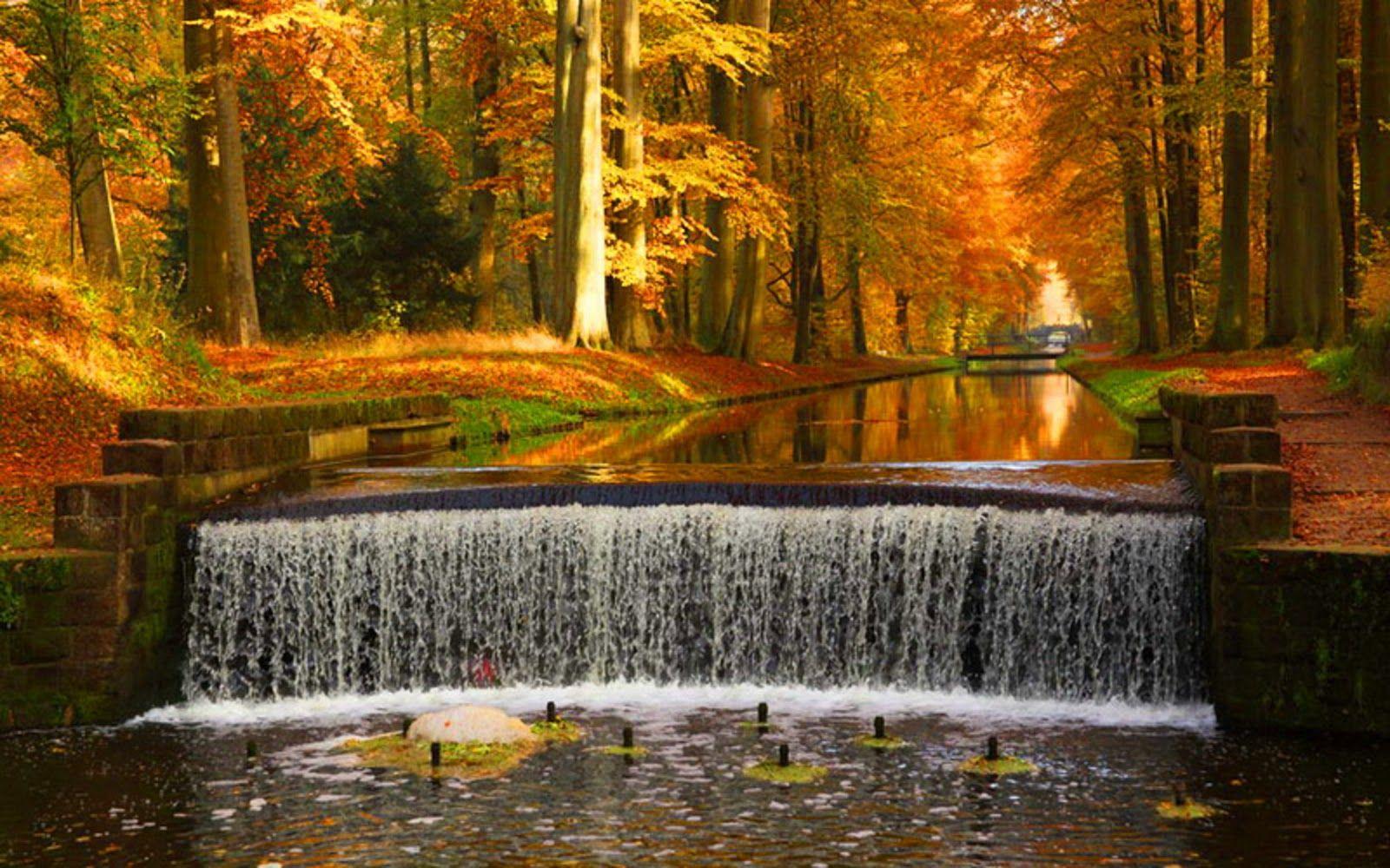 1600x1000 Free download Autumn Waterfalls HD Desktop Wallpaper 1600x1000