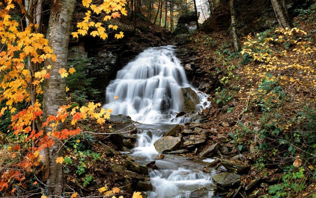 1280x804 Autumn waterfall wallpaper. Autumn waterfall