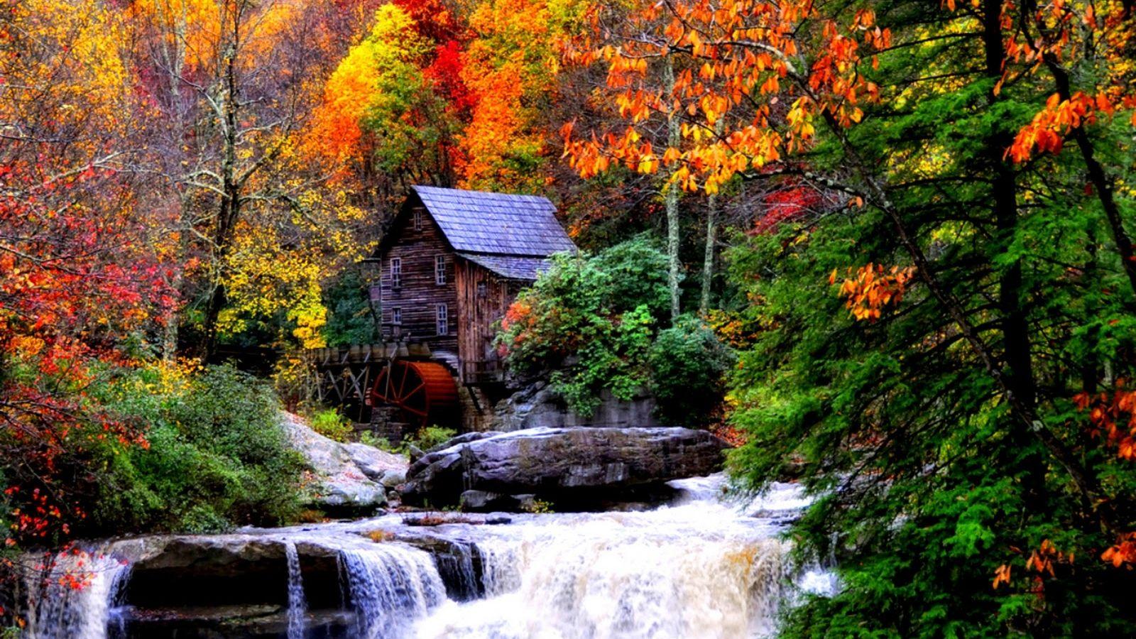 1600x900 Free download Autumn Waterfalls Desktop Wallpaper [1600x1000]