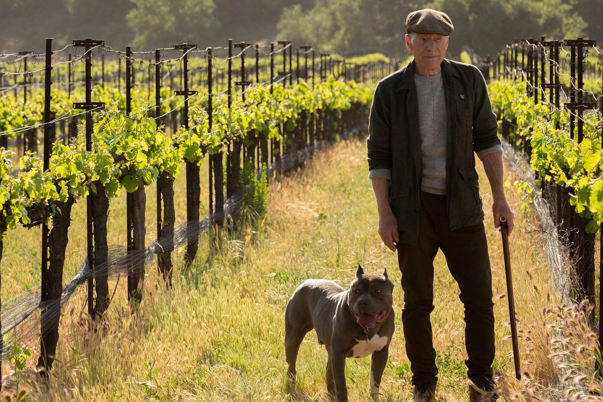 2048x1365 Review: 'Picard' Is, Finally, 'Star Trek: Peak TV' New York