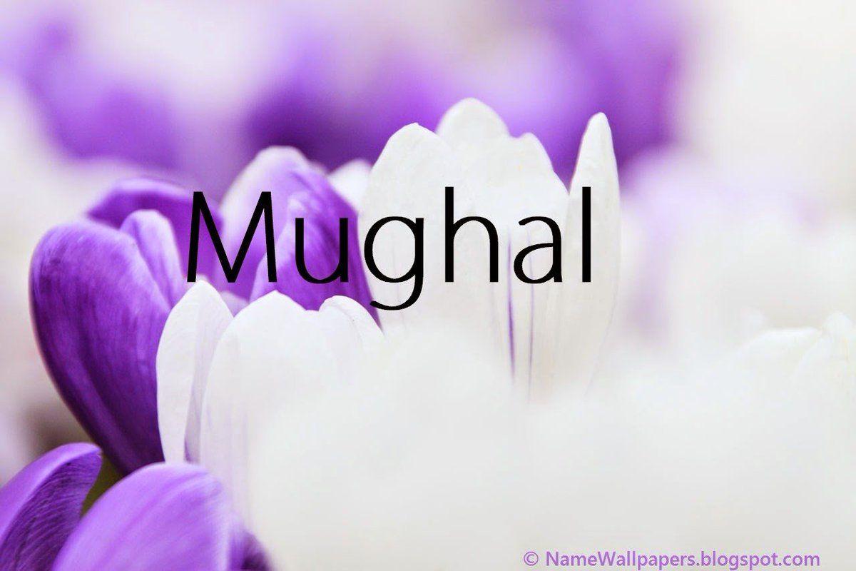 Mughal Wallpapers - Top Free Mughal Backgrounds - WallpaperAccess