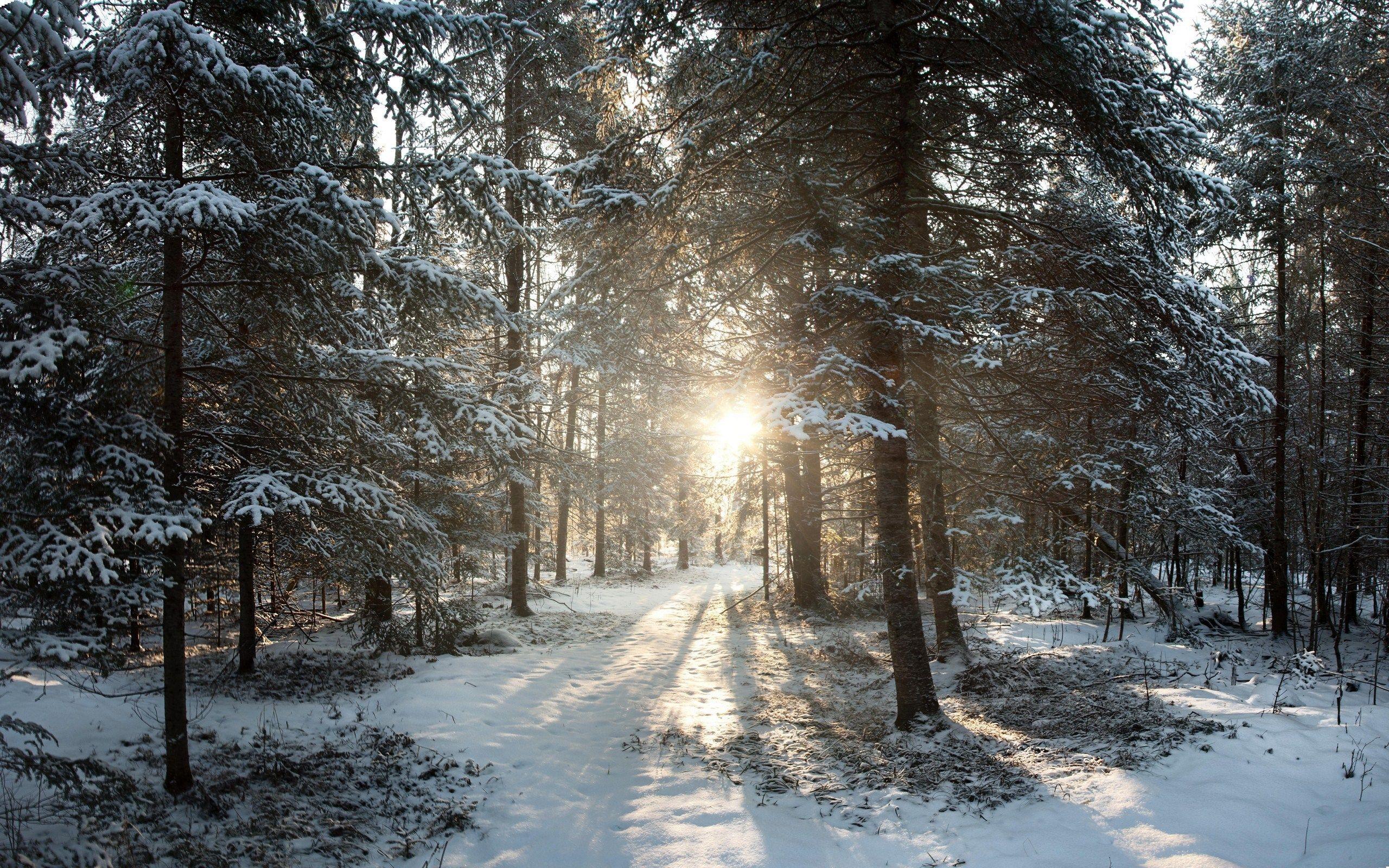 2560x1600 Wisconsin Wallpaper