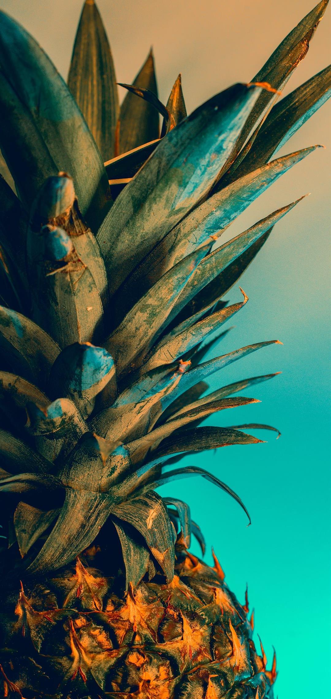 1080x2280 Ottawa galaxy s10 lite Wallpaper Download