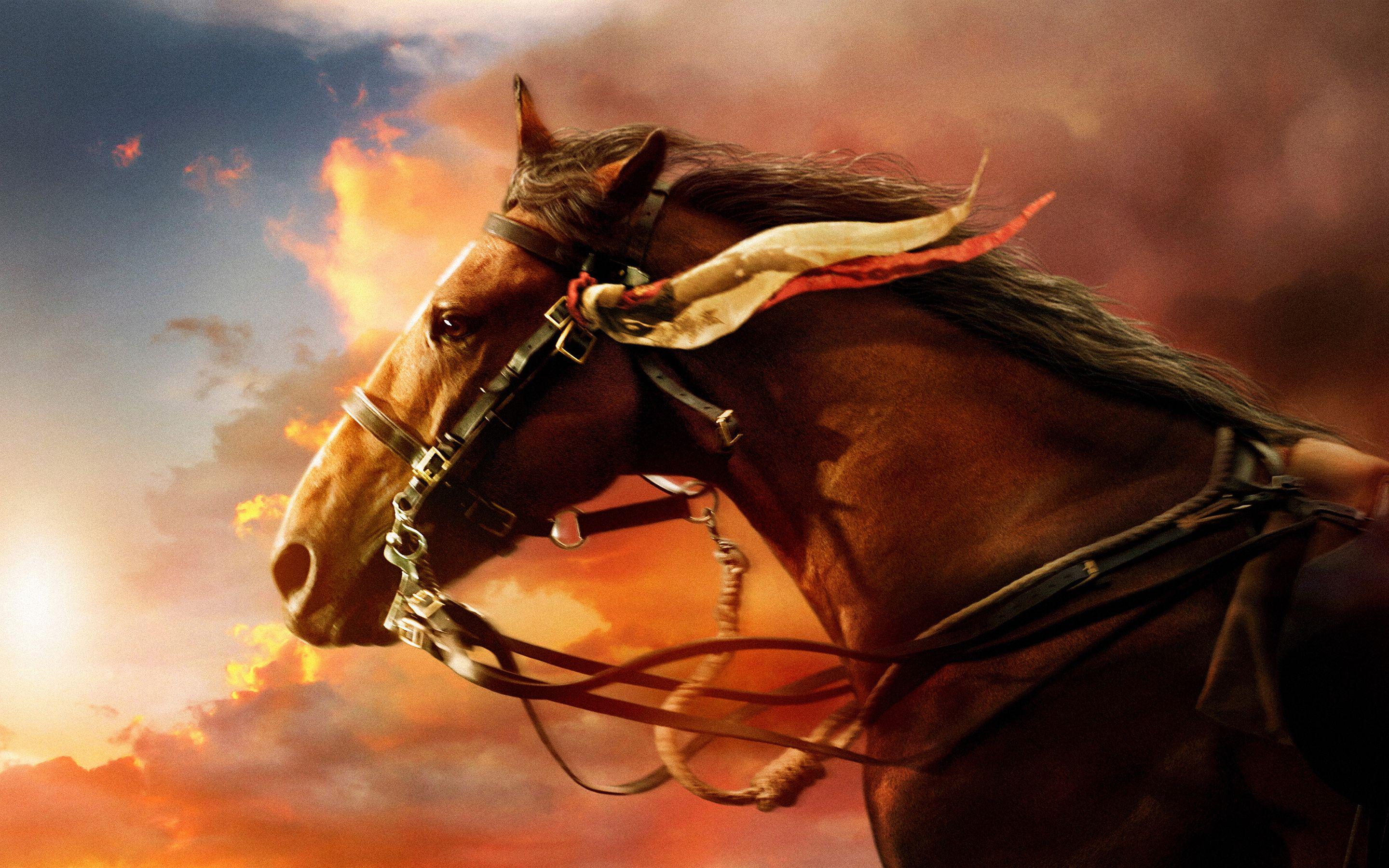 2880x1800 War Horse HD Wallpaper