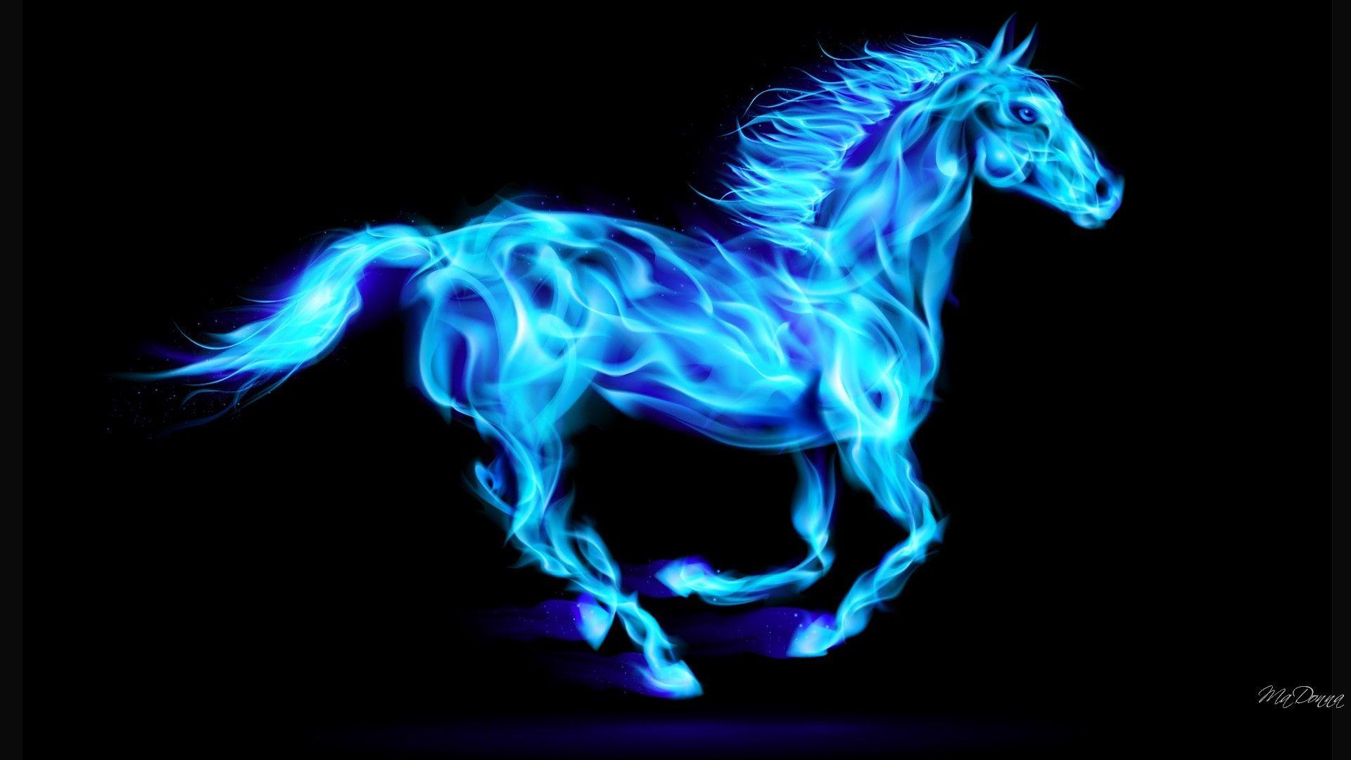 1920x1080 Cool Horse Wallpaper