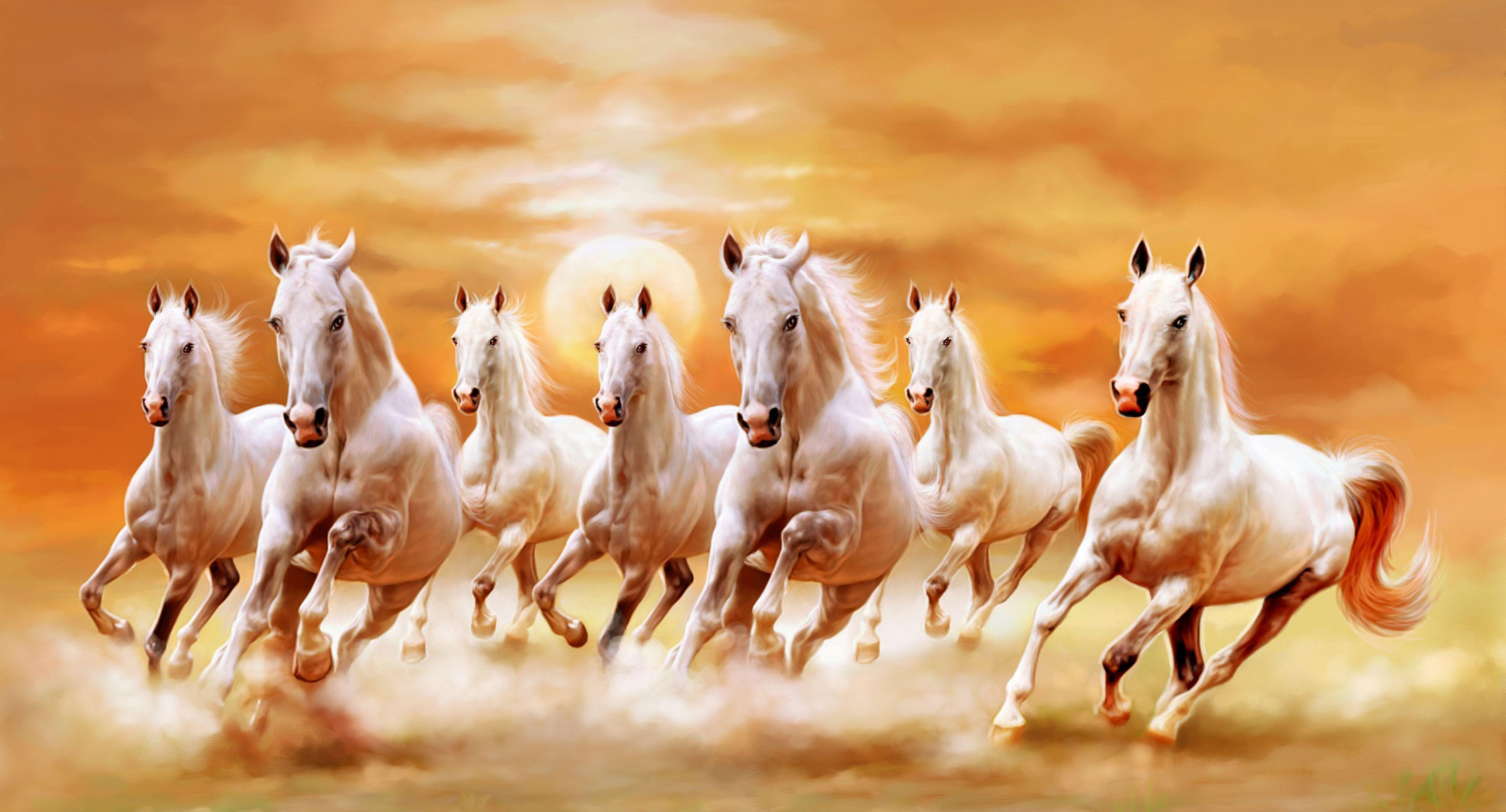 5200x2805 White Horses Running .itl.cat