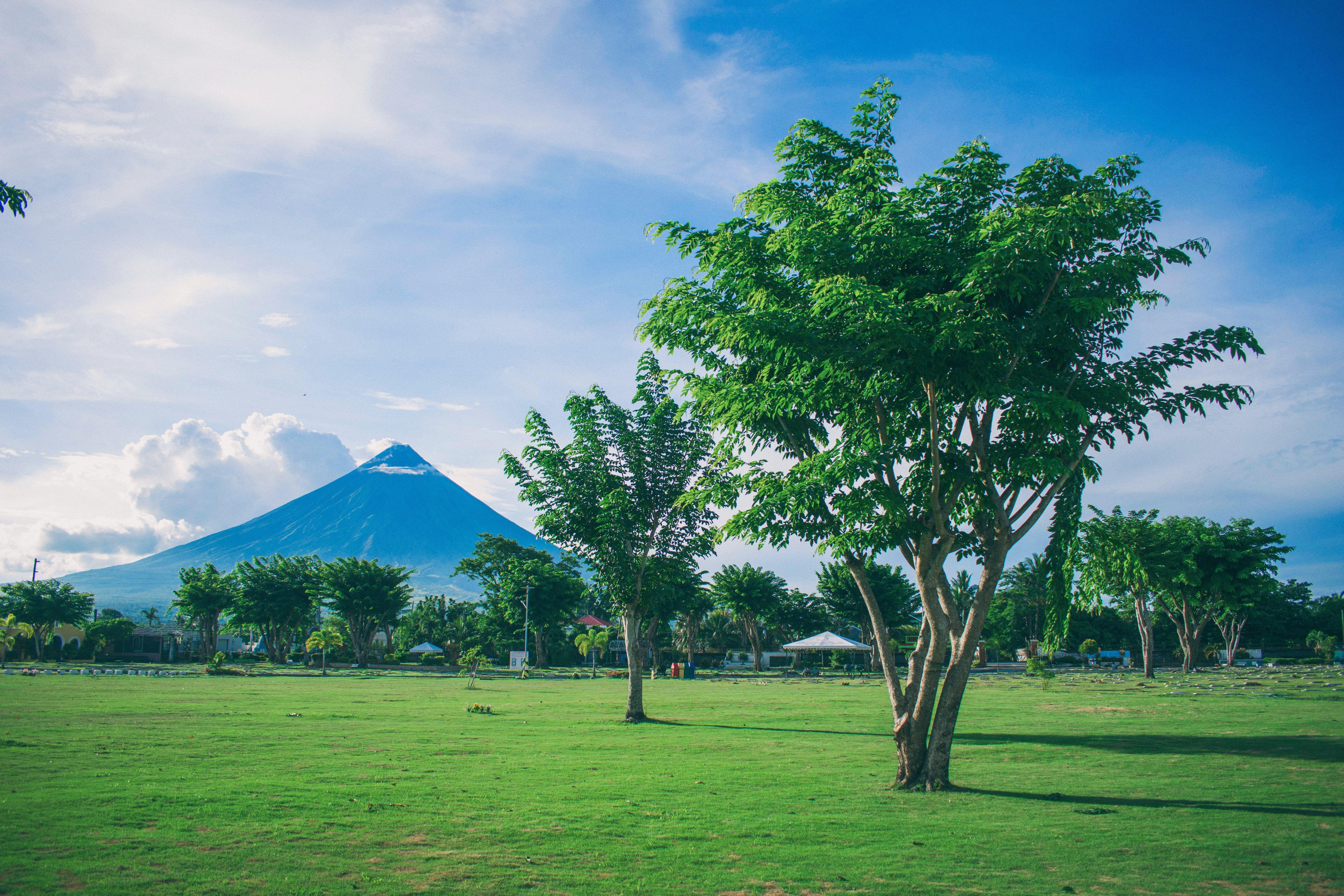 6000x4000 Landscape Photography of Open Field With Tree With Mayon Volcano