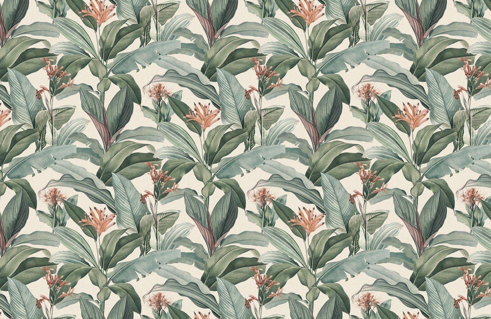 Vintage Tropical Wallpapers - Top Free Vintage Tropical Backgrounds