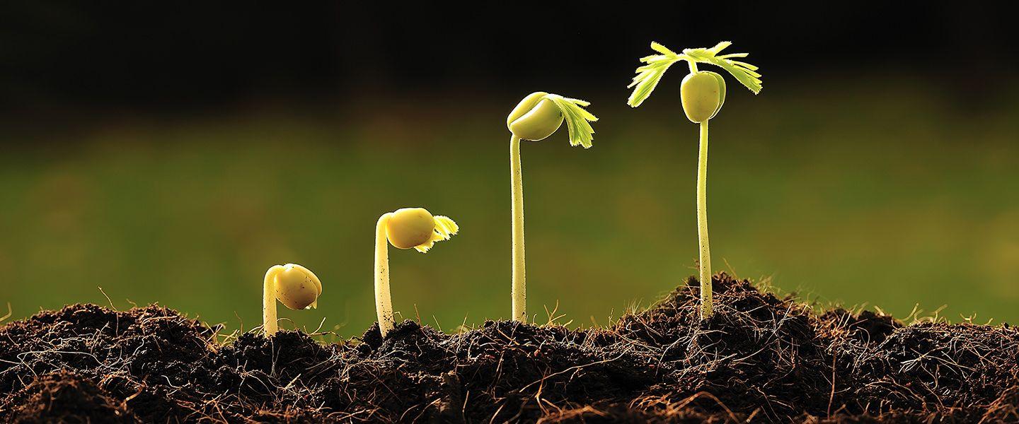 plant-biology-wallpapers-top-free-plant-biology-backgrounds