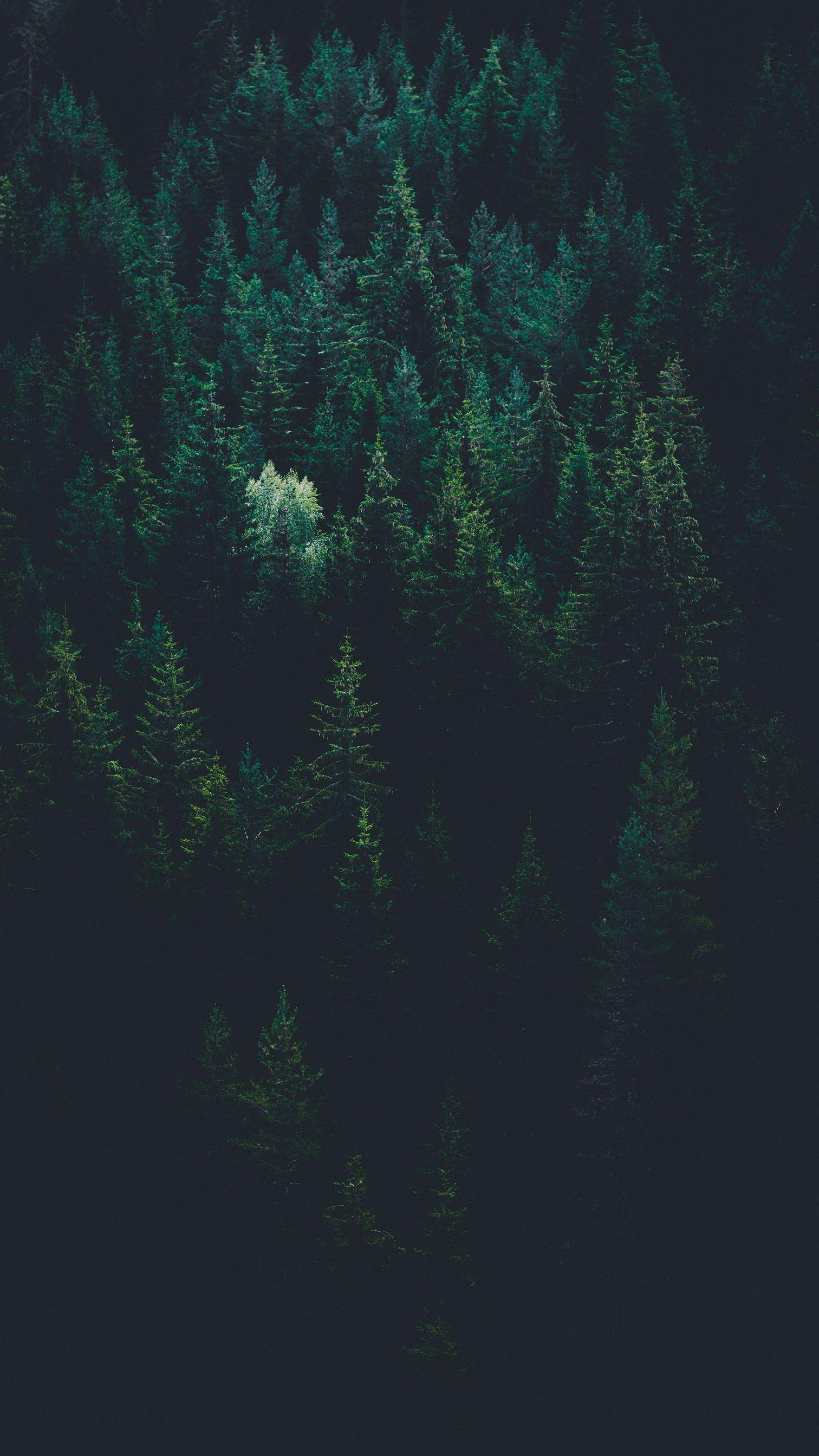 1512x2688 Best Dark or Black iPhone Wallpaper iPhone Background
