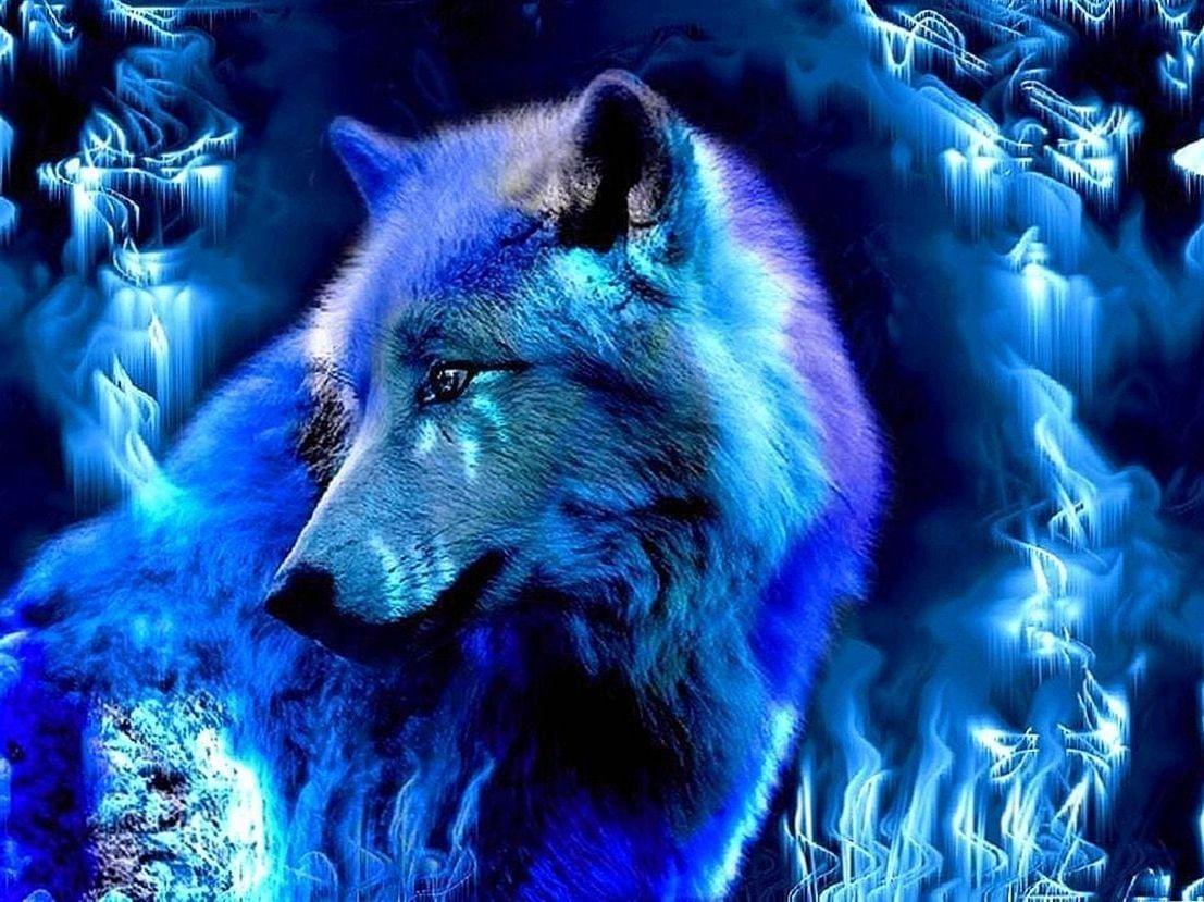 1107x829 Fantasy Ice Wolf Wallpaper Wallpaper.Pro